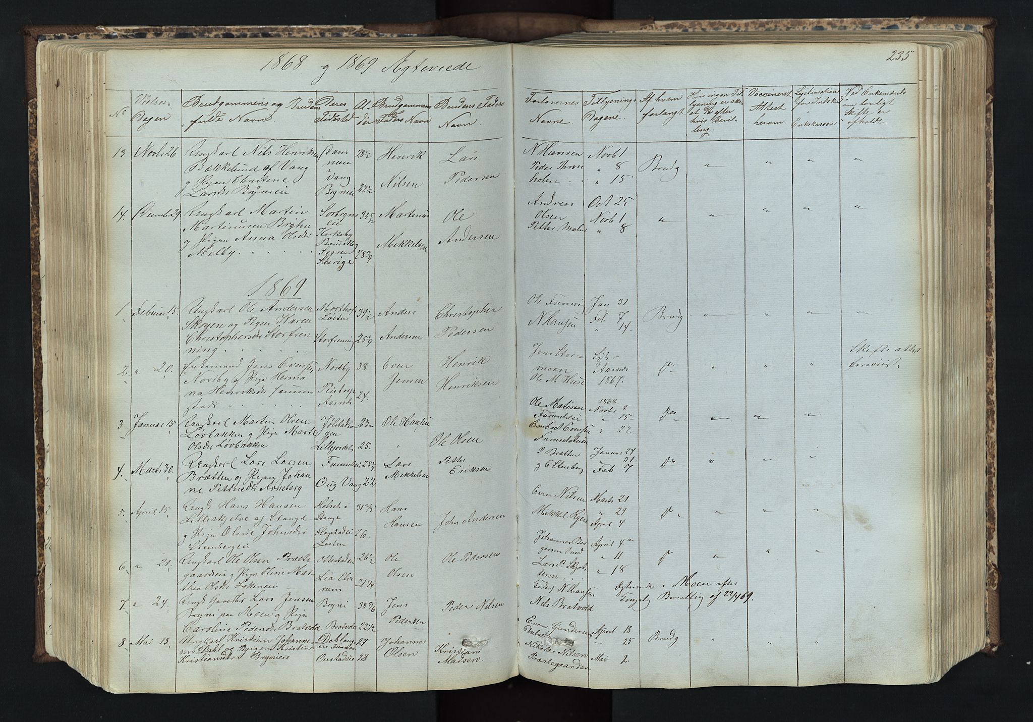 Romedal prestekontor, SAH/PREST-004/L/L0011: Parish register (copy) no. 11, 1867-1895, p. 235