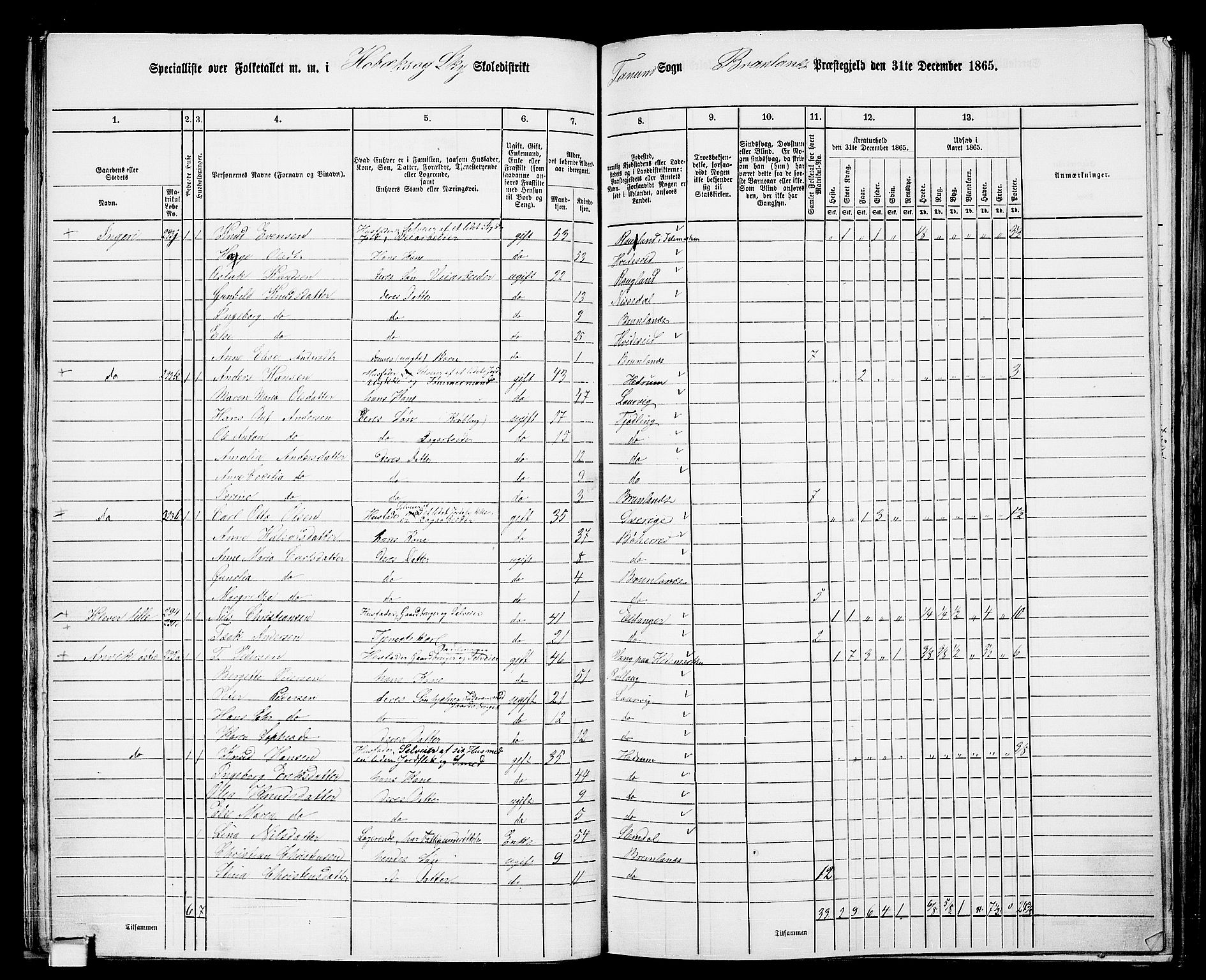 RA, 1865 census for Brunlanes, 1865, p. 37