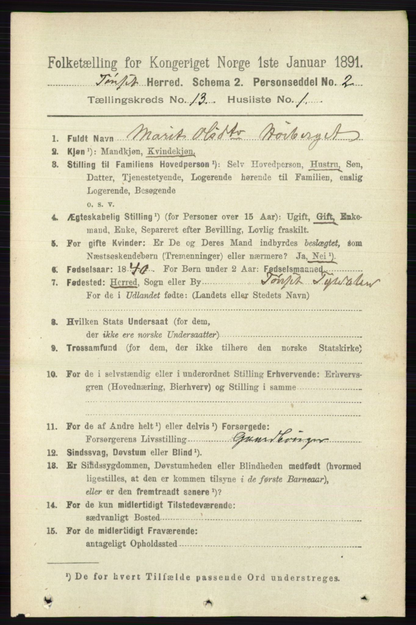 RA, 1891 census for 0437 Tynset, 1891, p. 3516