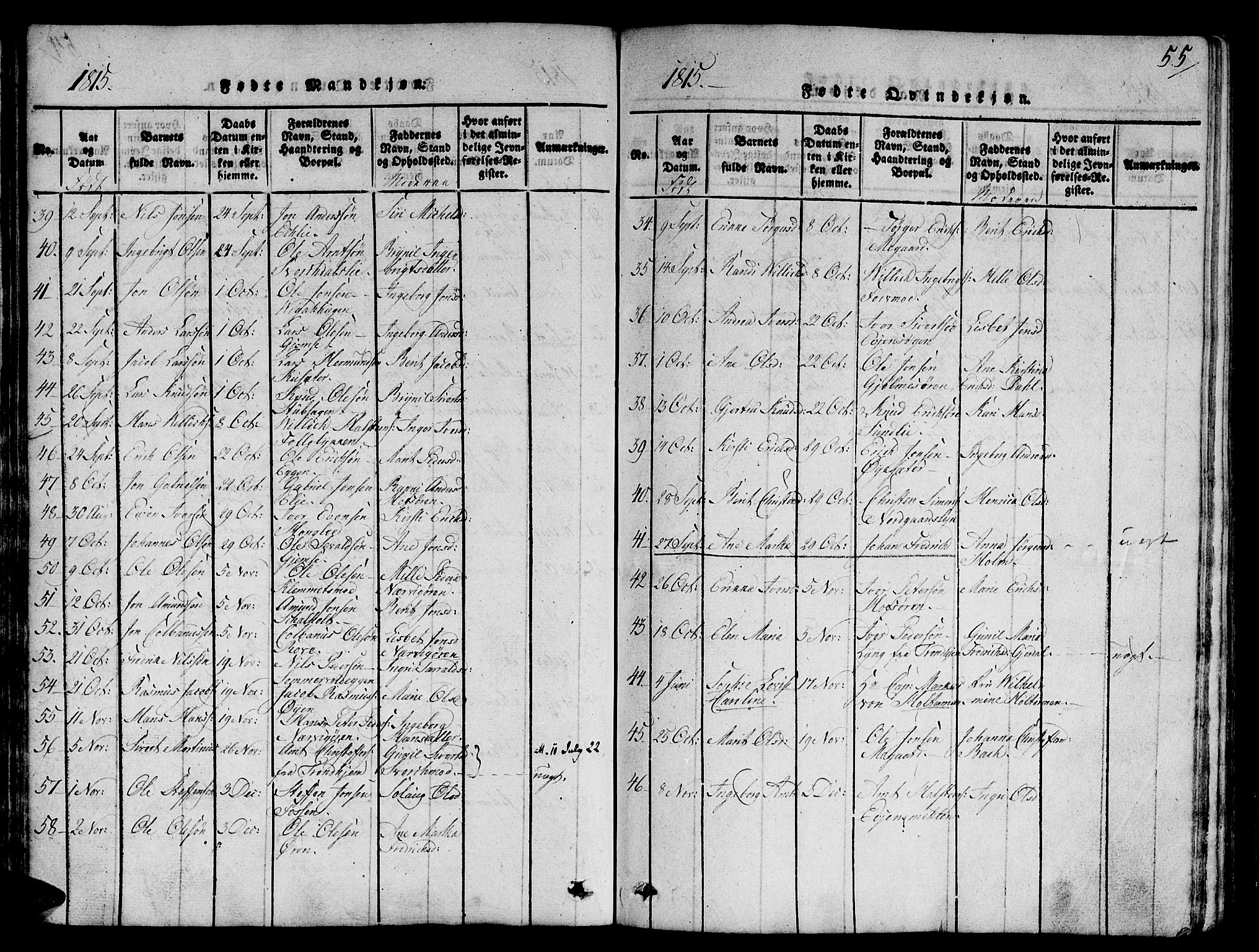 Ministerialprotokoller, klokkerbøker og fødselsregistre - Sør-Trøndelag, AV/SAT-A-1456/668/L0803: Parish register (official) no. 668A03, 1800-1826, p. 55