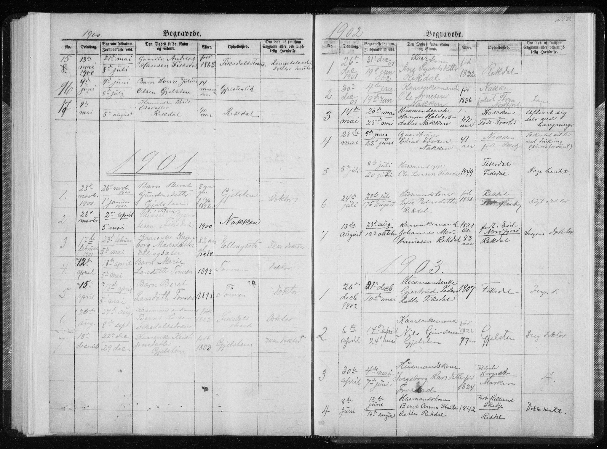 Ministerialprotokoller, klokkerbøker og fødselsregistre - Møre og Romsdal, SAT/A-1454/540/L0541: Parish register (copy) no. 540C01, 1867-1920, p. 250