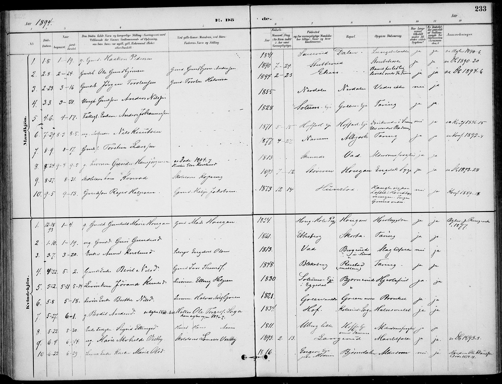 Sigdal kirkebøker, SAKO/A-245/F/Fb/L0001: Parish register (official) no. II 1, 1888-1900, p. 233