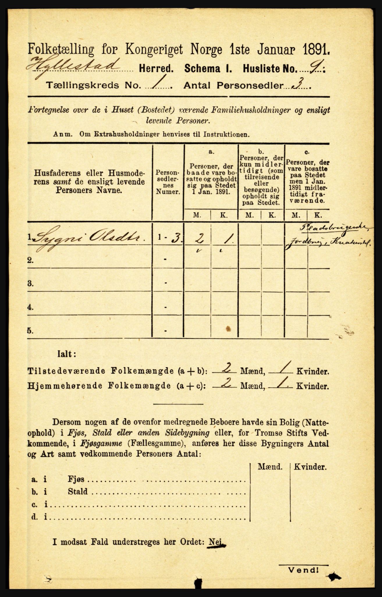 RA, 1891 census for 1413 Hyllestad, 1891, p. 49