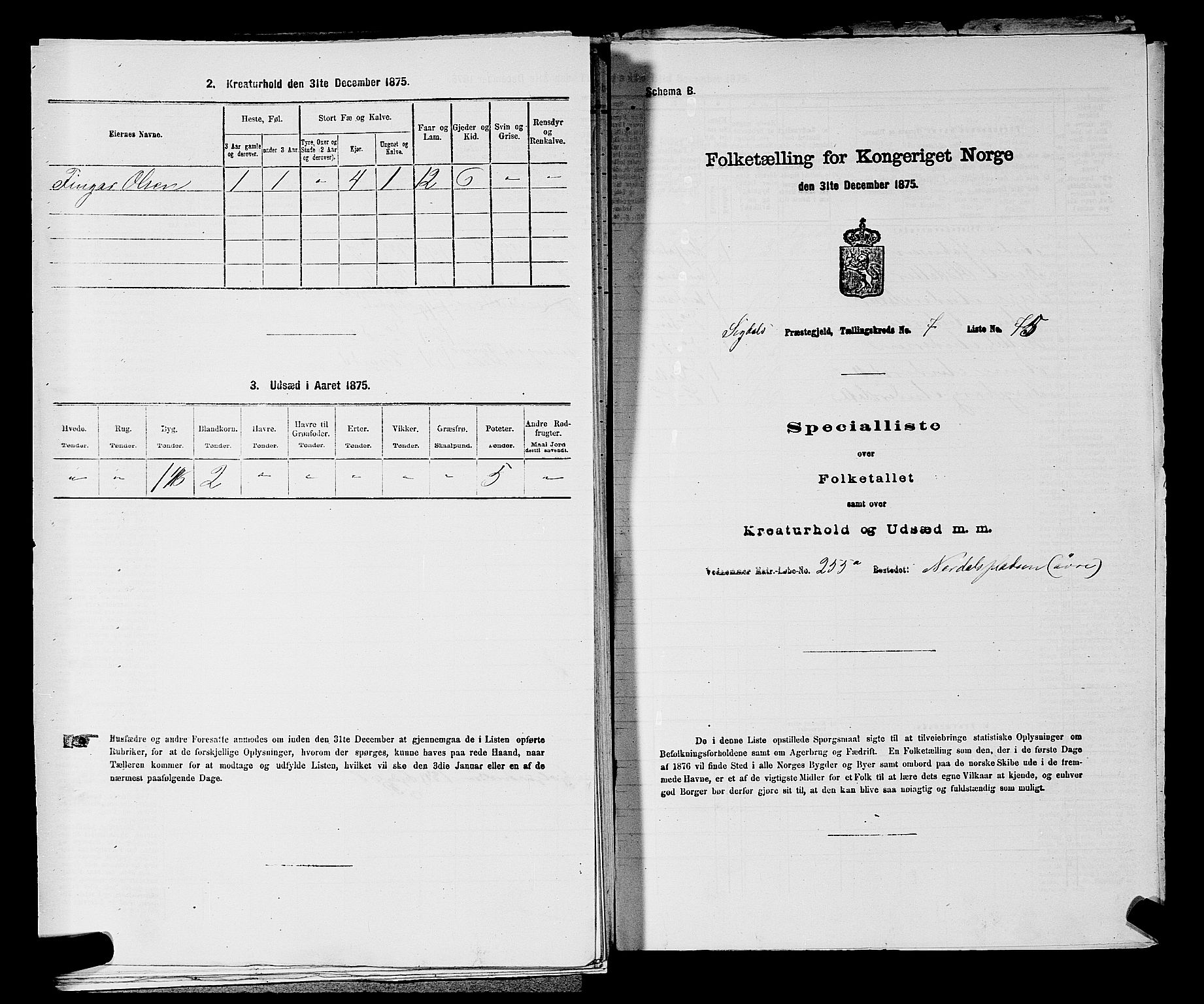 SAKO, 1875 census for 0621P Sigdal, 1875, p. 1147