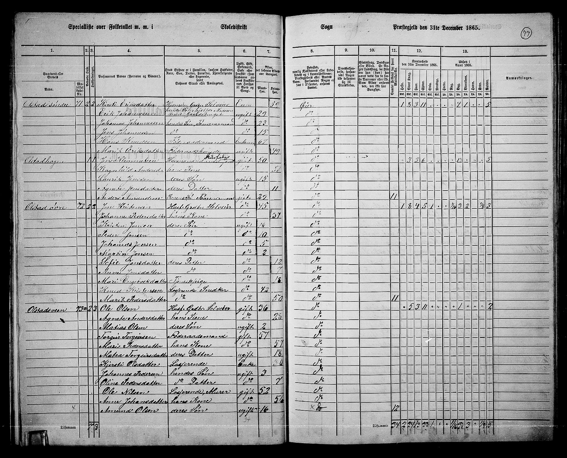 RA, 1865 census for Øyer, 1865, p. 68