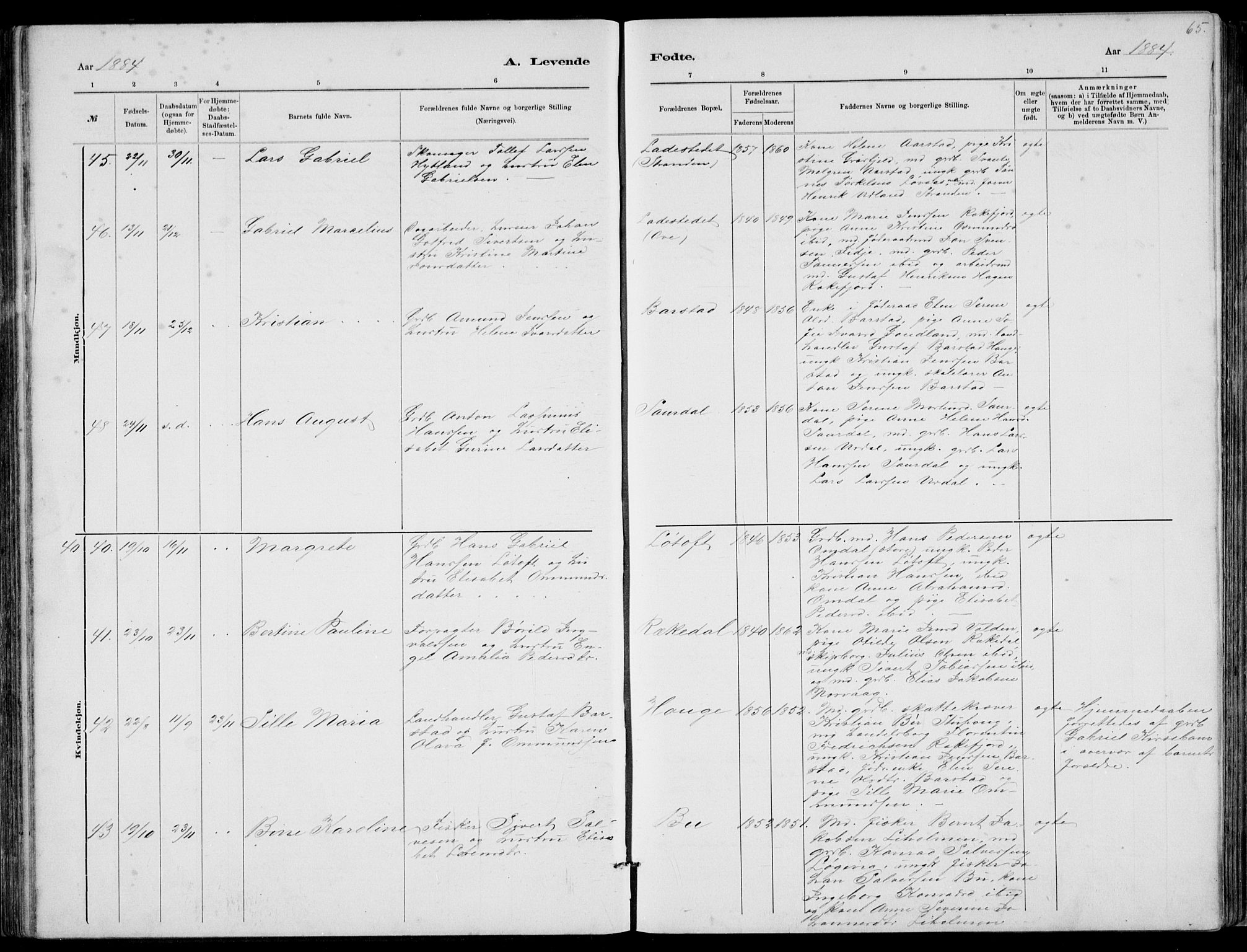 Sokndal sokneprestkontor, AV/SAST-A-101808: Parish register (copy) no. B 4, 1880-1891, p. 65