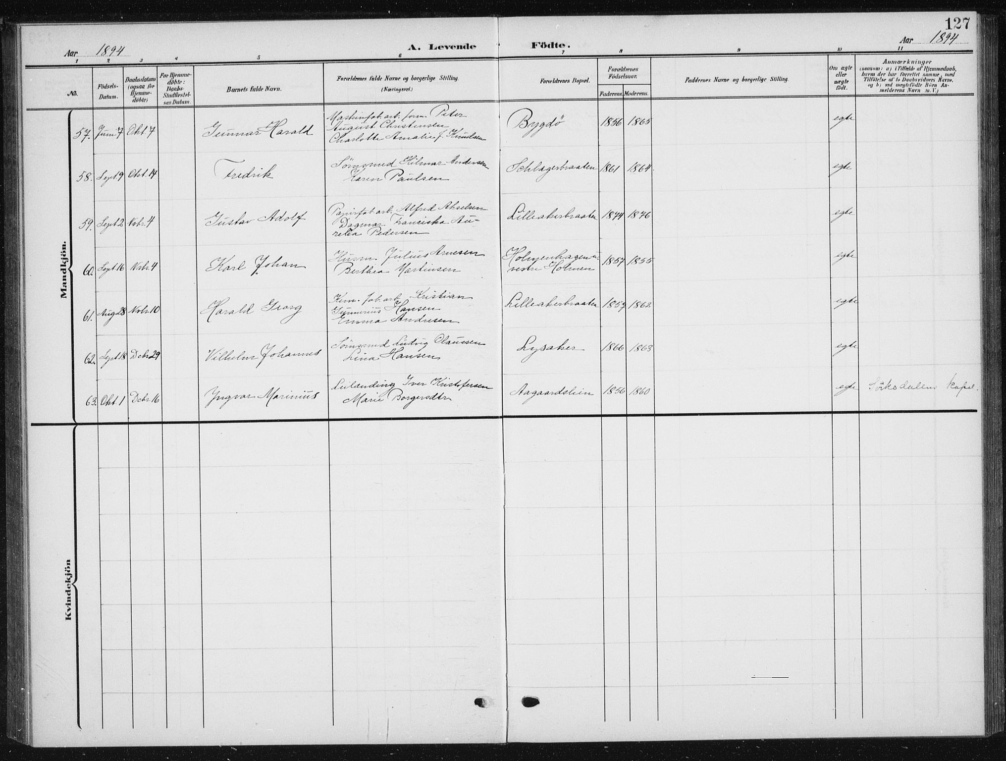 Vestre Aker prestekontor Kirkebøker, AV/SAO-A-10025/F/Fb/L0001: Parish register (official) no. II 1, 1880-1906, p. 127