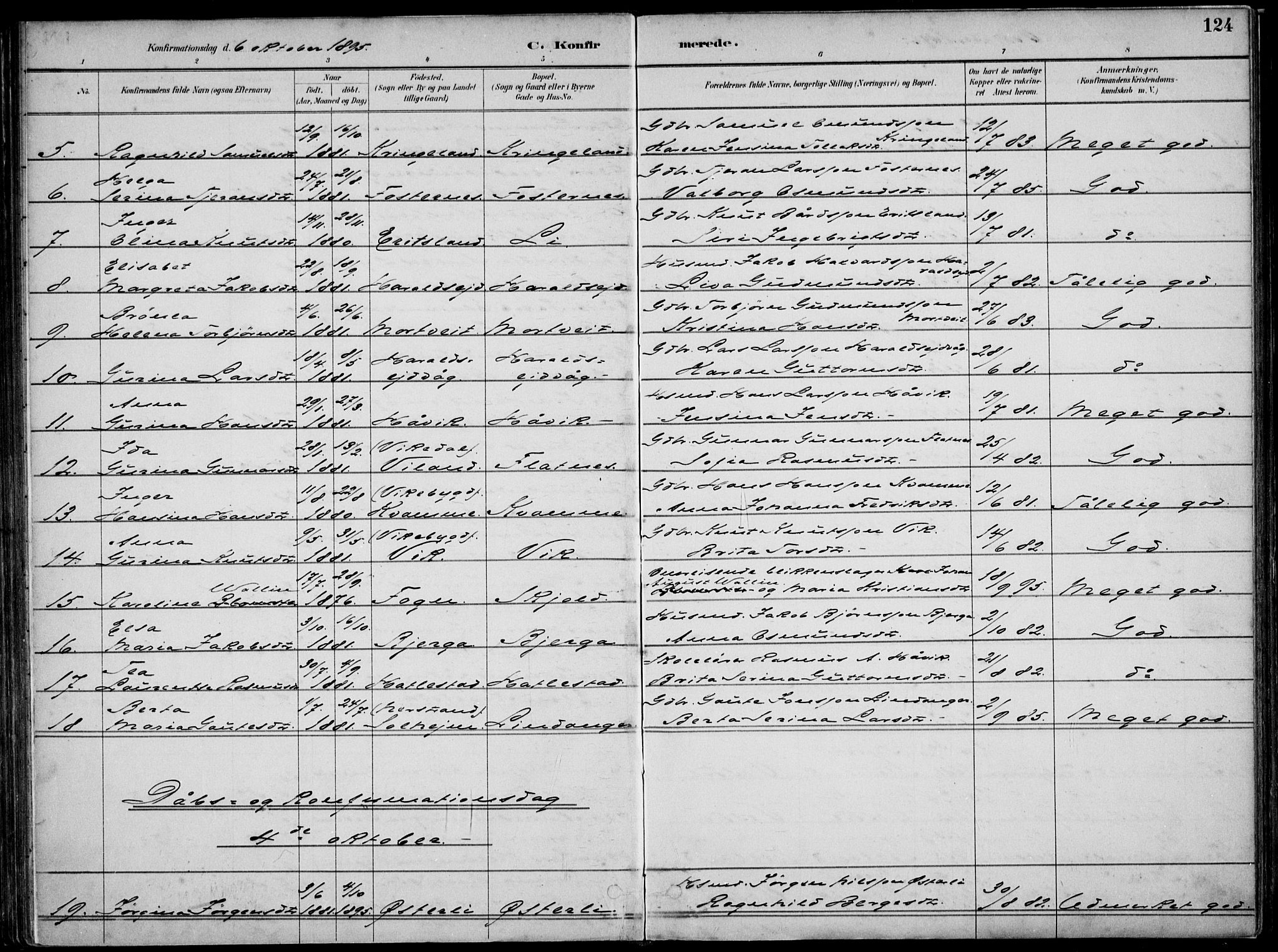 Skjold sokneprestkontor, AV/SAST-A-101847/H/Ha/Haa/L0010: Parish register (official) no. A 10, 1882-1897, p. 124