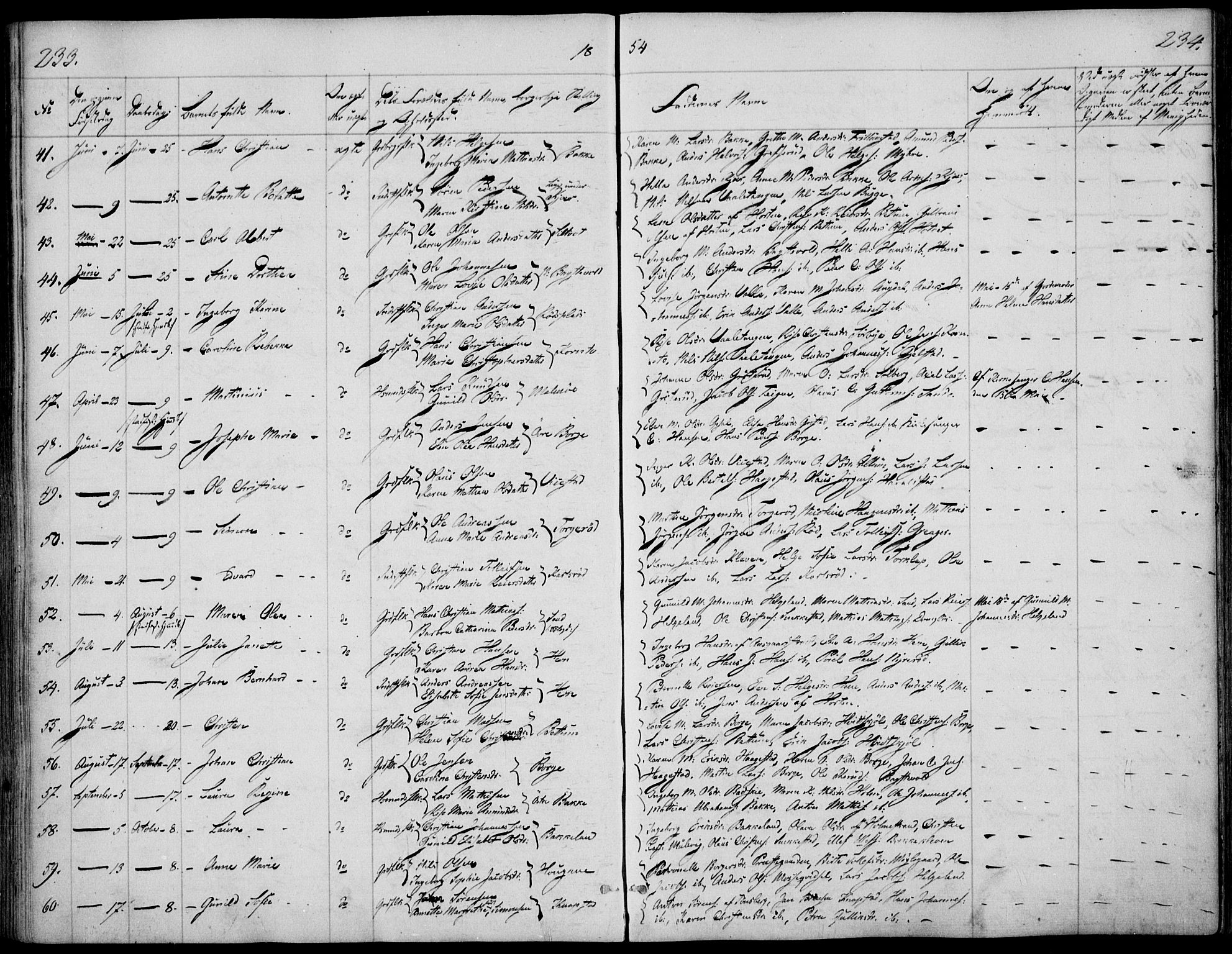 Våle kirkebøker, AV/SAKO-A-334/F/Fa/L0009a: Parish register (official) no. I 9A, 1839-1860, p. 233-234