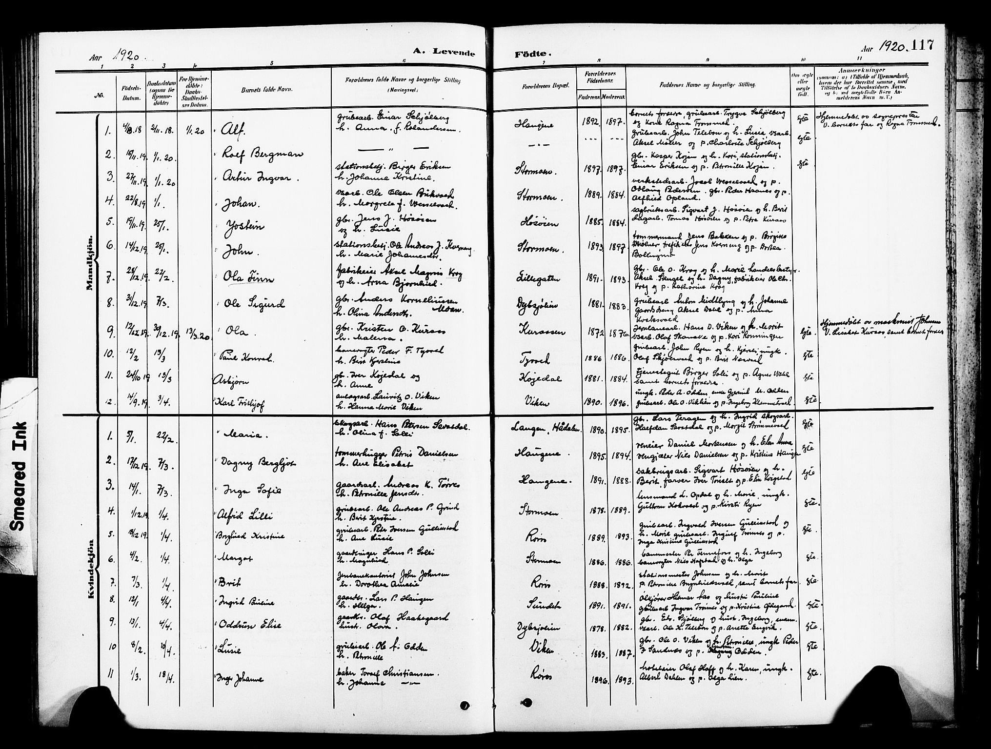 Ministerialprotokoller, klokkerbøker og fødselsregistre - Sør-Trøndelag, SAT/A-1456/681/L0942: Parish register (copy) no. 681C06, 1906-1925, p. 117