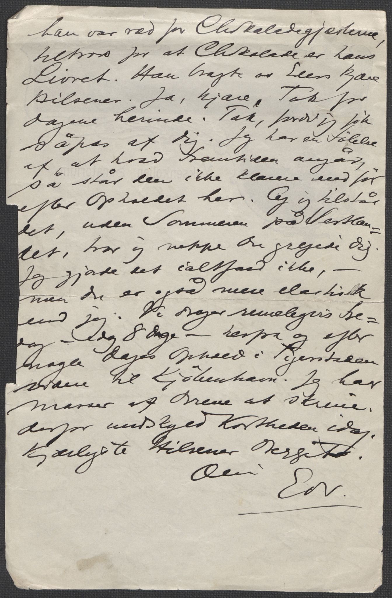 Beyer, Frants, AV/RA-PA-0132/F/L0001: Brev fra Edvard Grieg til Frantz Beyer og "En del optegnelser som kan tjene til kommentar til brevene" av Marie Beyer, 1872-1907, p. 599