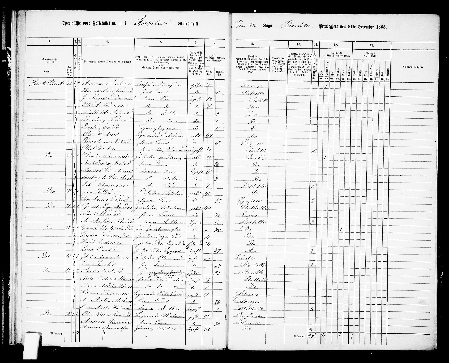 RA, 1865 census for Bamble, 1865, p. 242