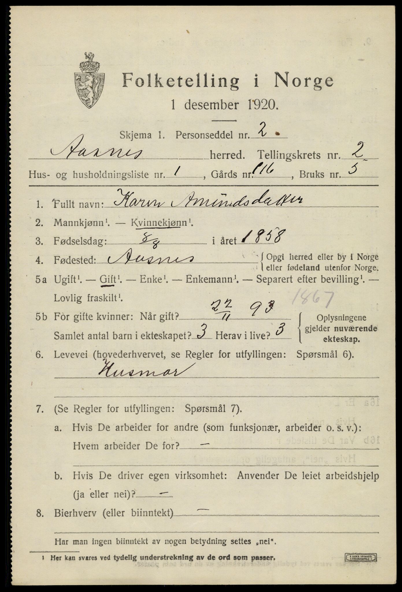 SAH, 1920 census for Åsnes, 1920, p. 2868