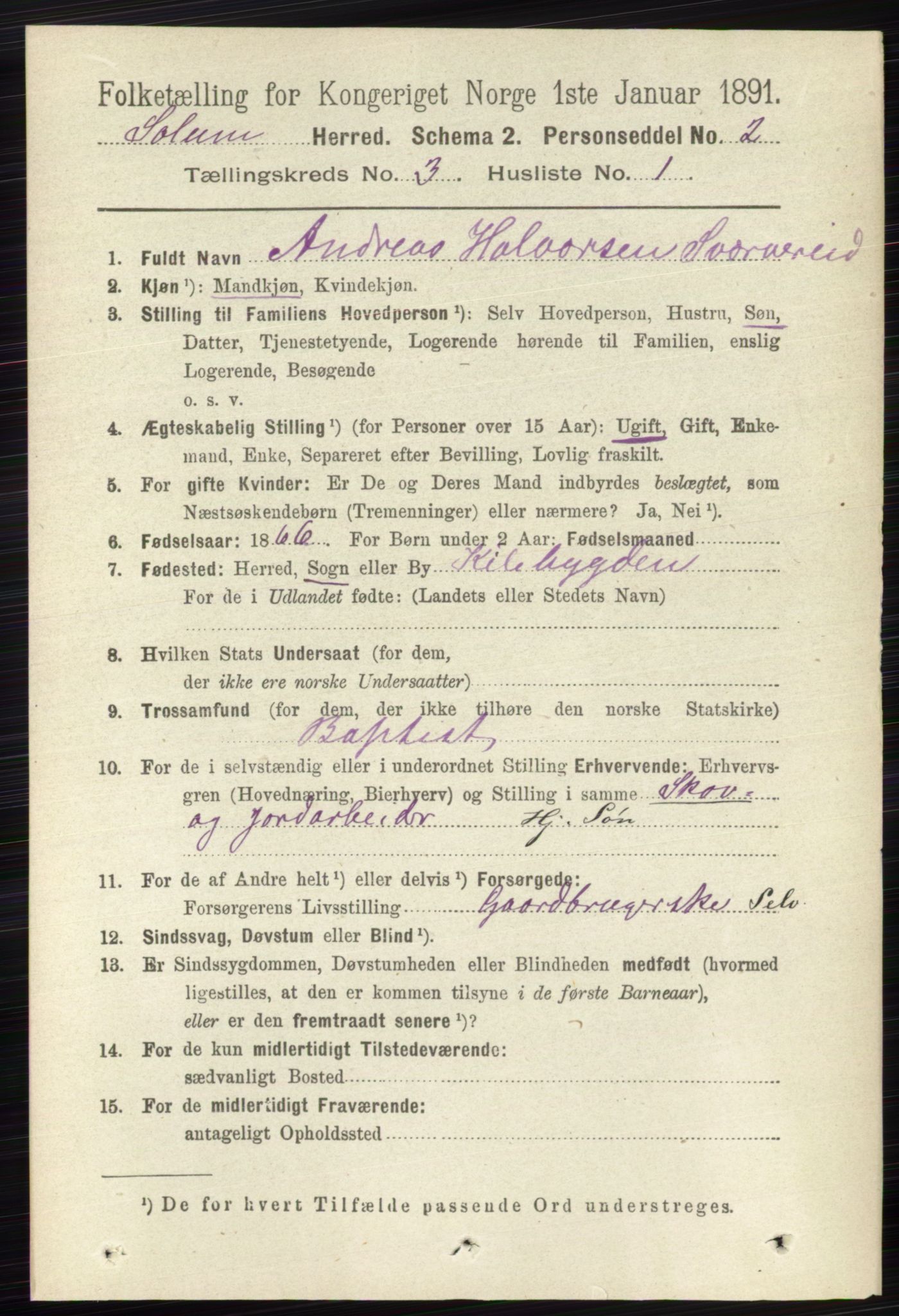 RA, 1891 census for 0818 Solum, 1891, p. 349