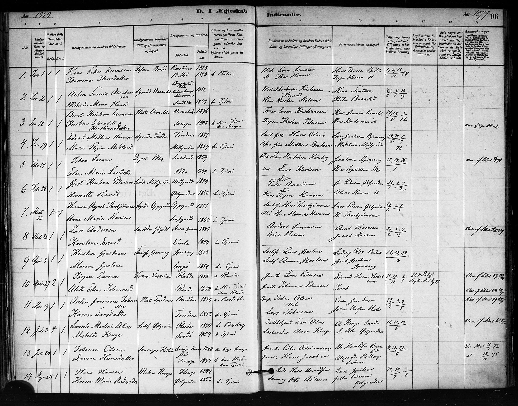 Tjøme kirkebøker, SAKO/A-328/F/Fa/L0001: Parish register (official) no. 1, 1879-1890, p. 96
