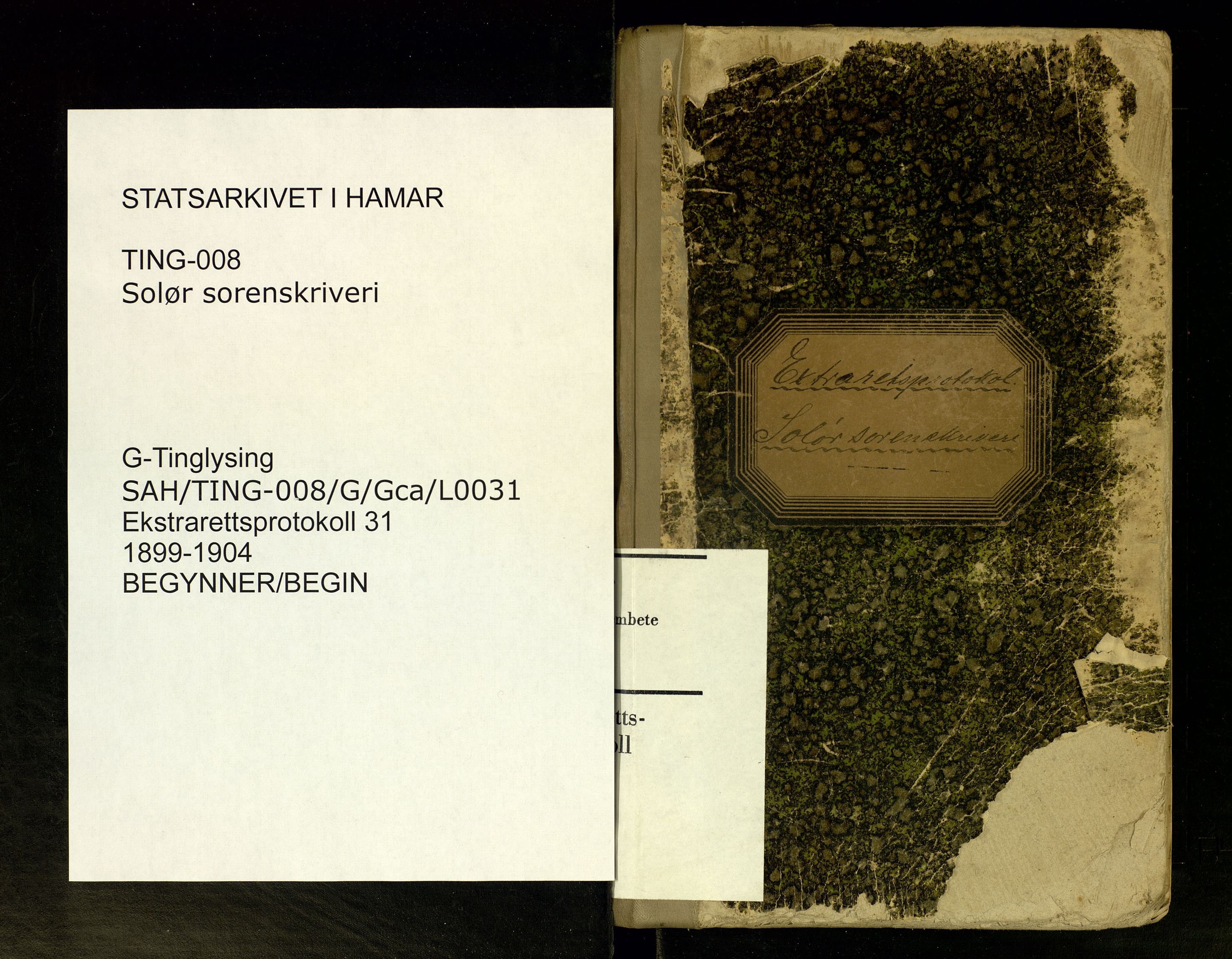 Solør tingrett, SAH/TING-008/G/Gc/Gca/L0031: Ekstrarettsprotokoll, 1899-1904