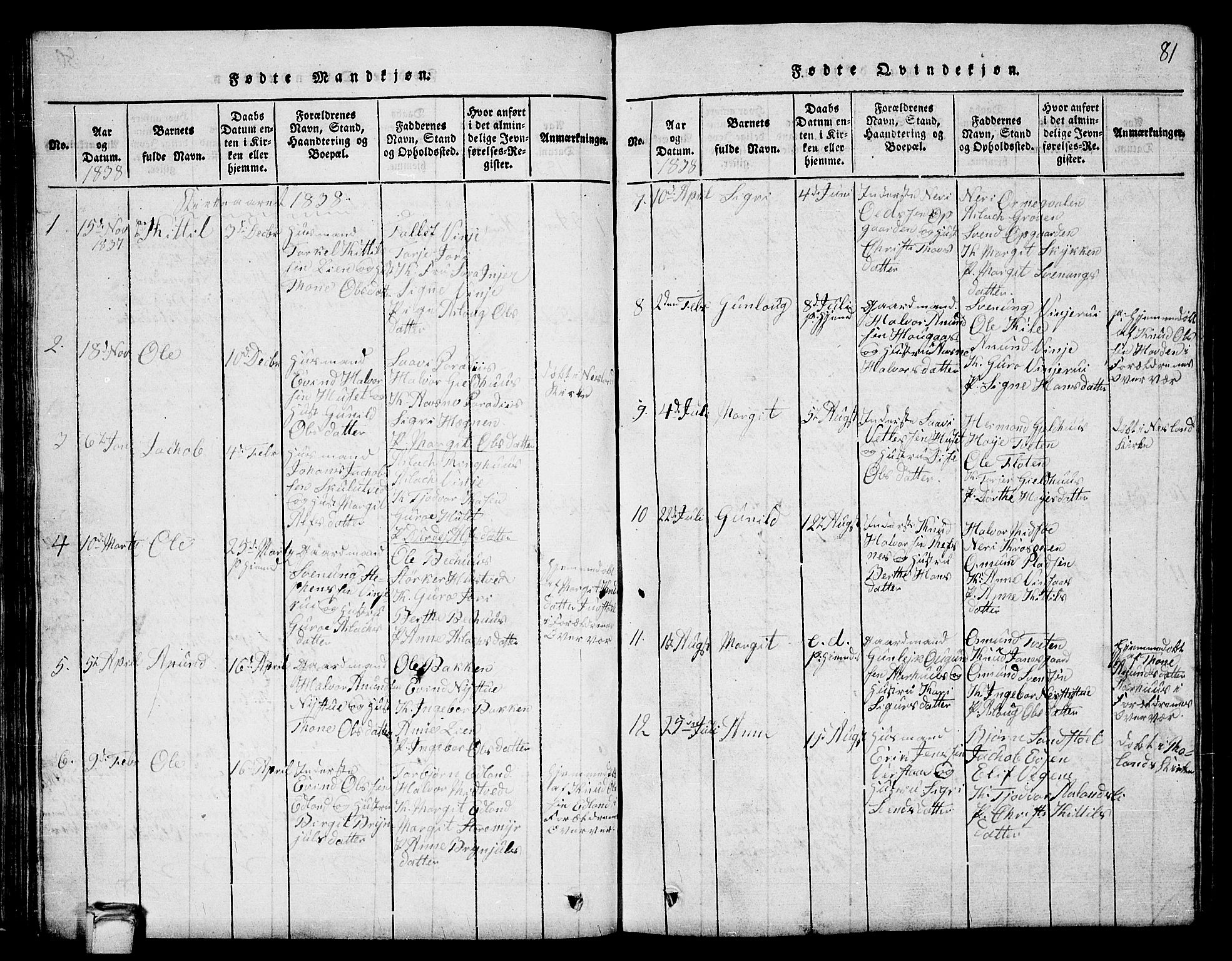 Vinje kirkebøker, SAKO/A-312/G/Ga/L0001: Parish register (copy) no. I 1, 1814-1843, p. 81