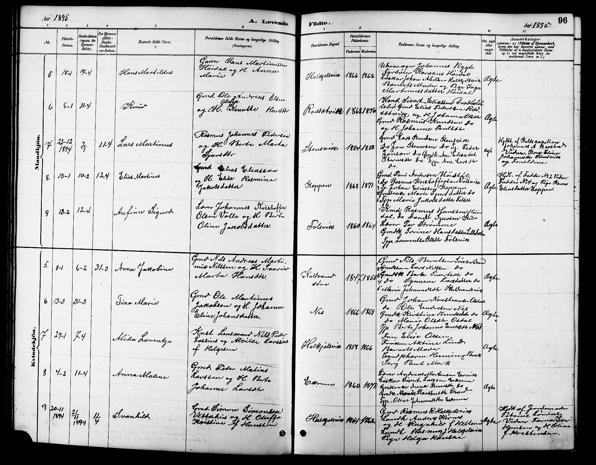 Ministerialprotokoller, klokkerbøker og fødselsregistre - Møre og Romsdal, AV/SAT-A-1454/511/L0158: Parish register (copy) no. 511C04, 1884-1903, p. 96