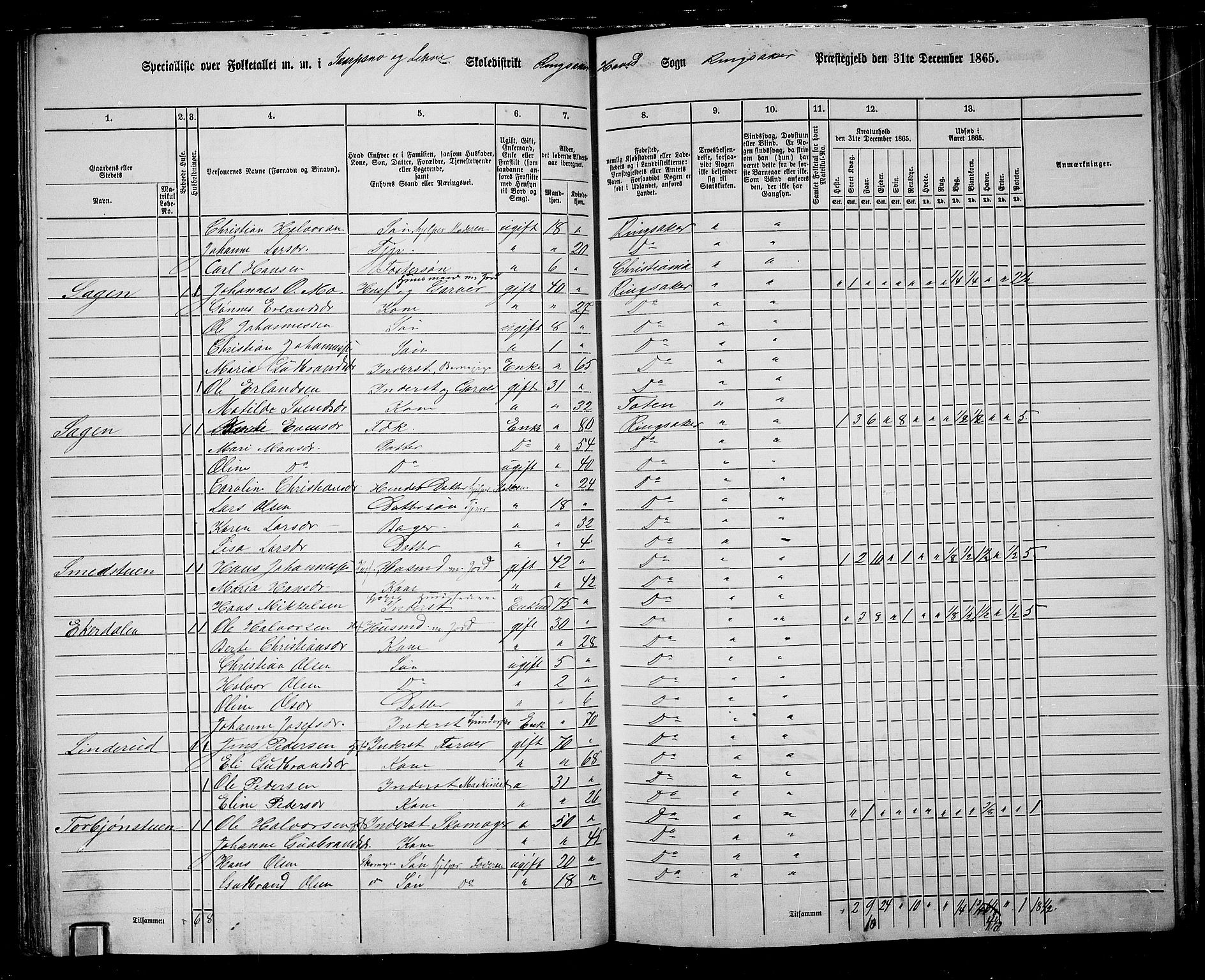 RA, 1865 census for Ringsaker, 1865, p. 115