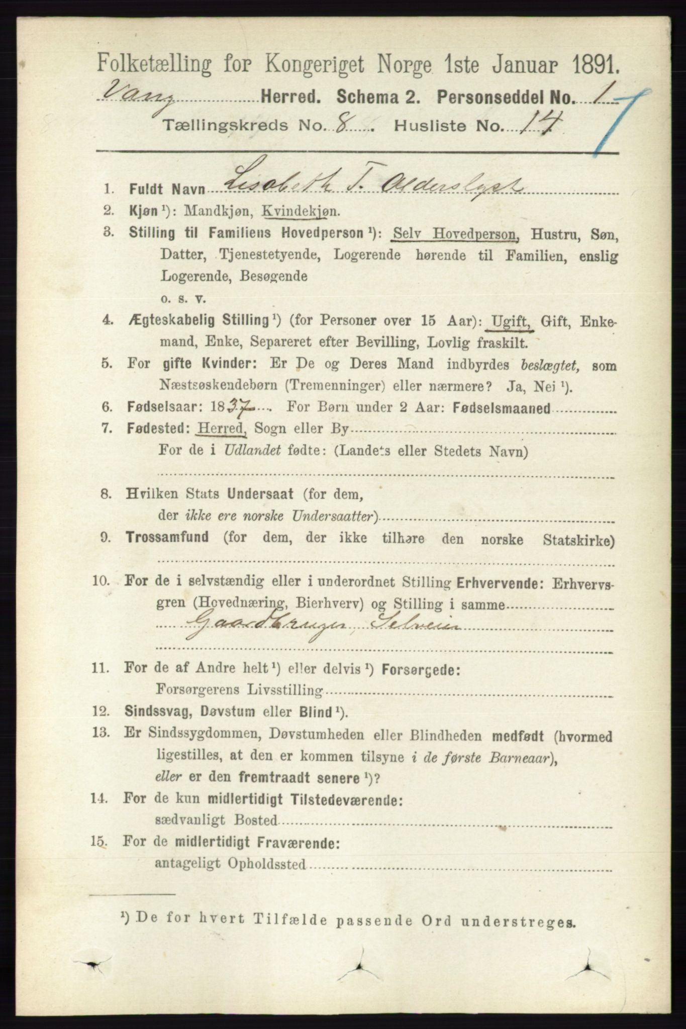 RA, 1891 census for 0414 Vang, 1891, p. 5681