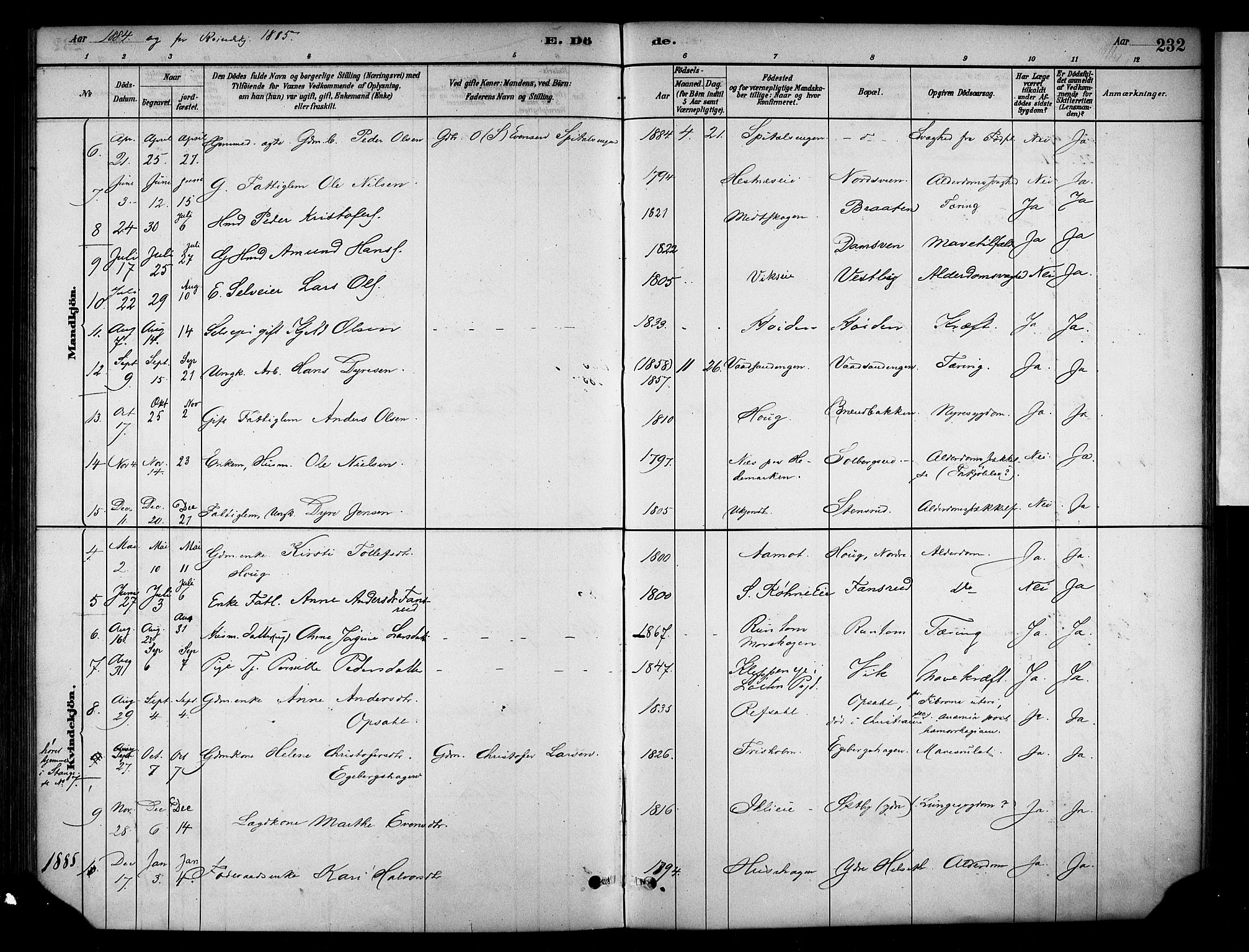 Stange prestekontor, AV/SAH-PREST-002/K/L0018: Parish register (official) no. 18, 1880-1896, p. 232