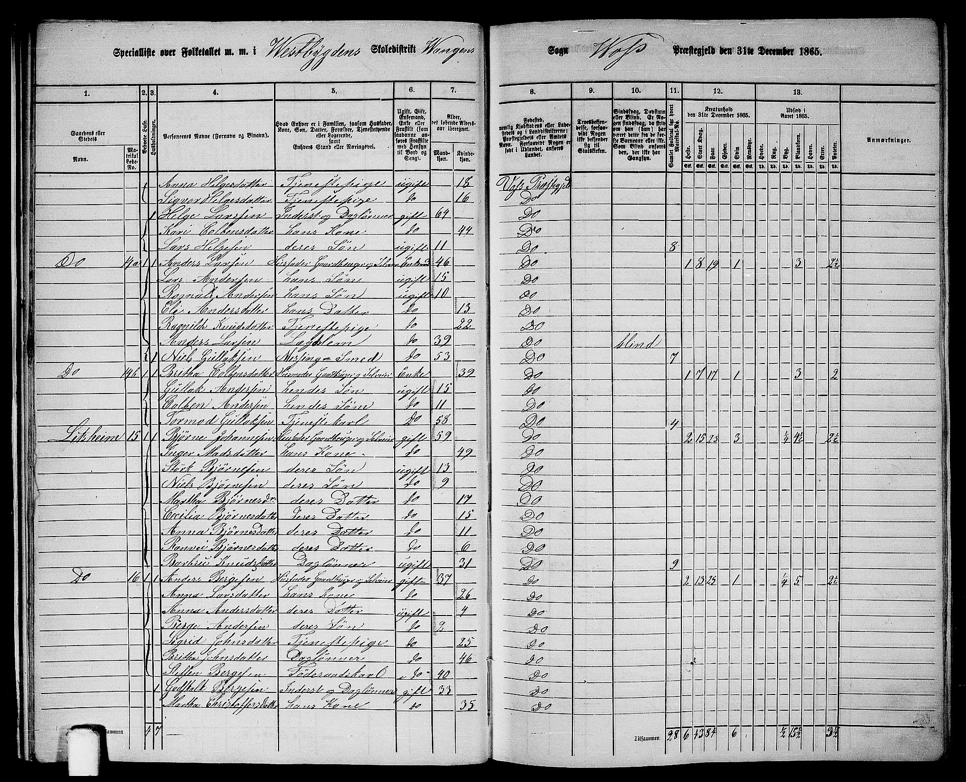 RA, 1865 census for Voss, 1865, p. 18