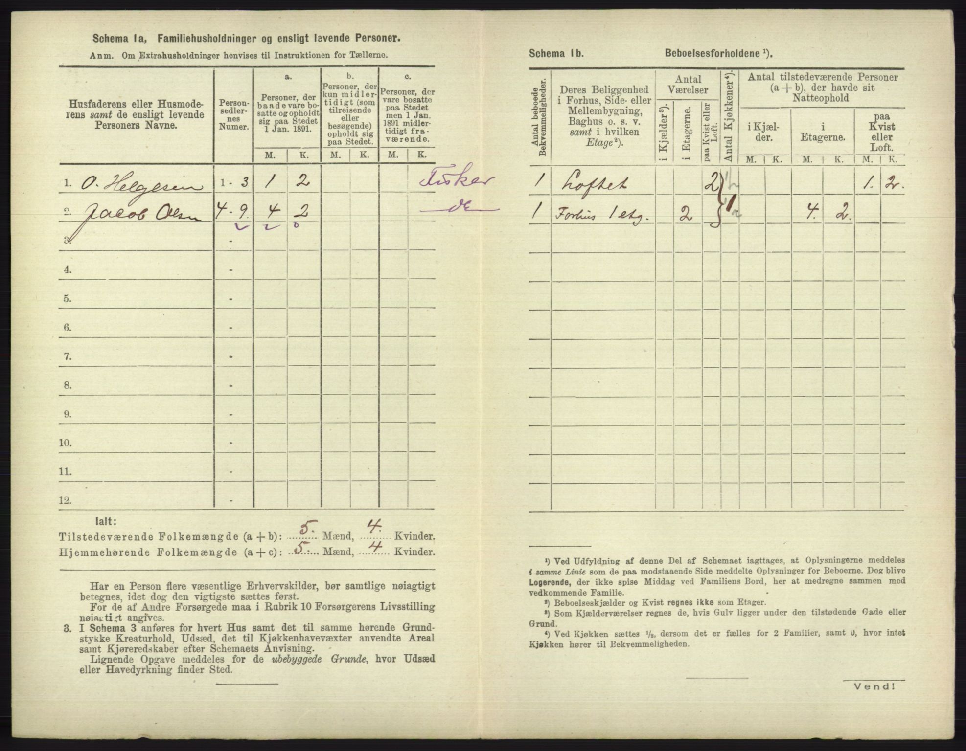 RA, 1891 census for 1804 Bodø, 1891, p. 3894