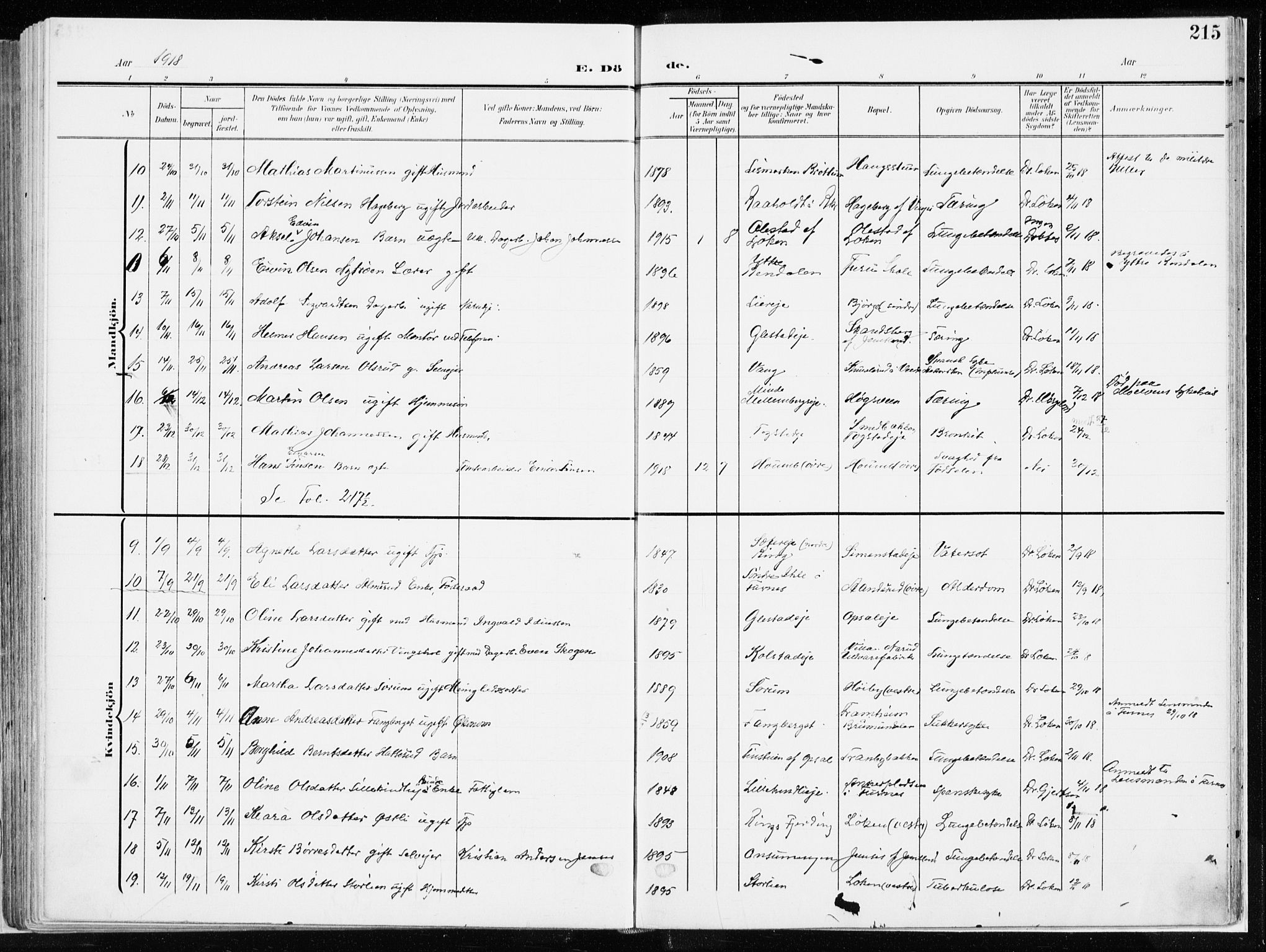 Ringsaker prestekontor, SAH/PREST-014/K/Ka/L0019: Parish register (official) no. 19, 1905-1920, p. 215