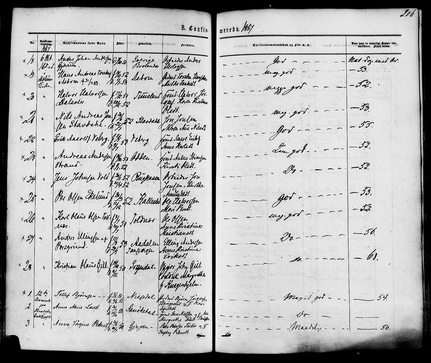 Solum kirkebøker, AV/SAKO-A-306/F/Fa/L0008: Parish register (official) no. I 8, 1865-1876, p. 206