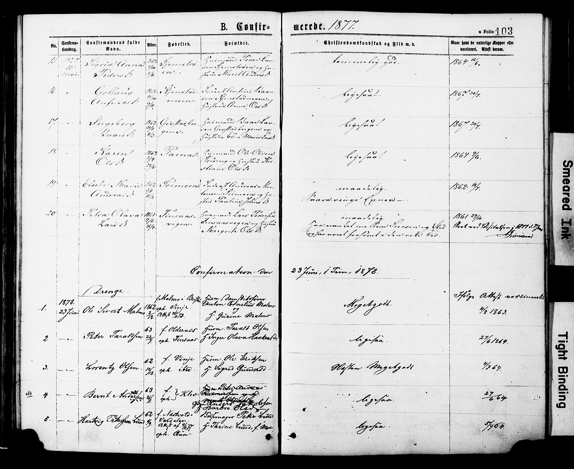 Ministerialprotokoller, klokkerbøker og fødselsregistre - Nord-Trøndelag, AV/SAT-A-1458/749/L0473: Parish register (official) no. 749A07, 1873-1887, p. 103
