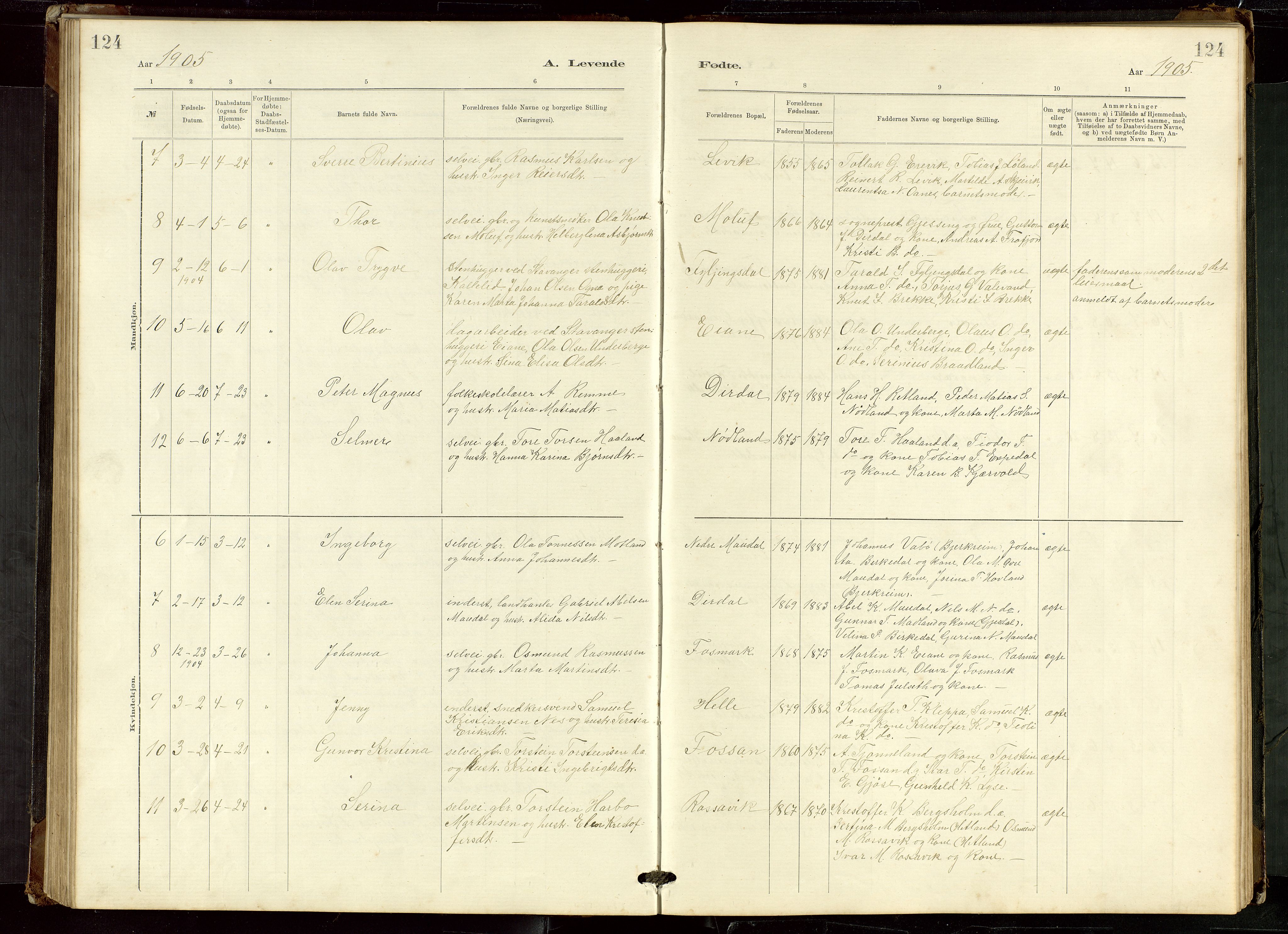 Høgsfjord sokneprestkontor, AV/SAST-A-101624/H/Ha/Hab/L0009: Parish register (copy) no. B 9, 1883-1920, p. 124