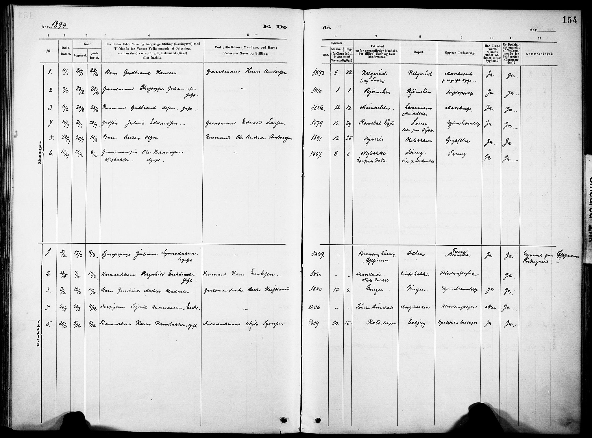 Nordre Land prestekontor, SAH/PREST-124/H/Ha/Haa/L0005: Parish register (official) no. 5, 1882-1903, p. 154
