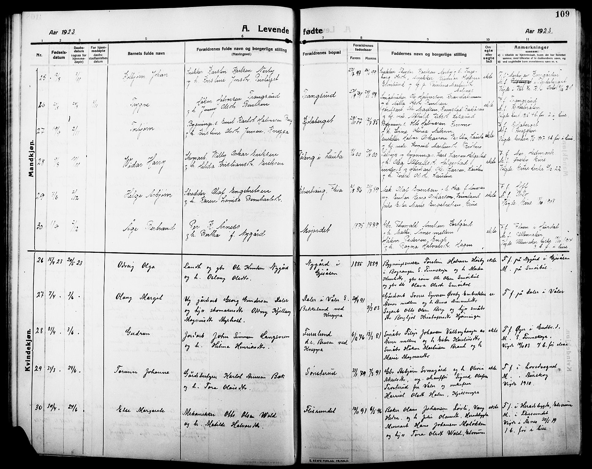 Åsnes prestekontor, AV/SAH-PREST-042/H/Ha/Hab/L0007: Parish register (copy) no. 7, 1909-1926, p. 109