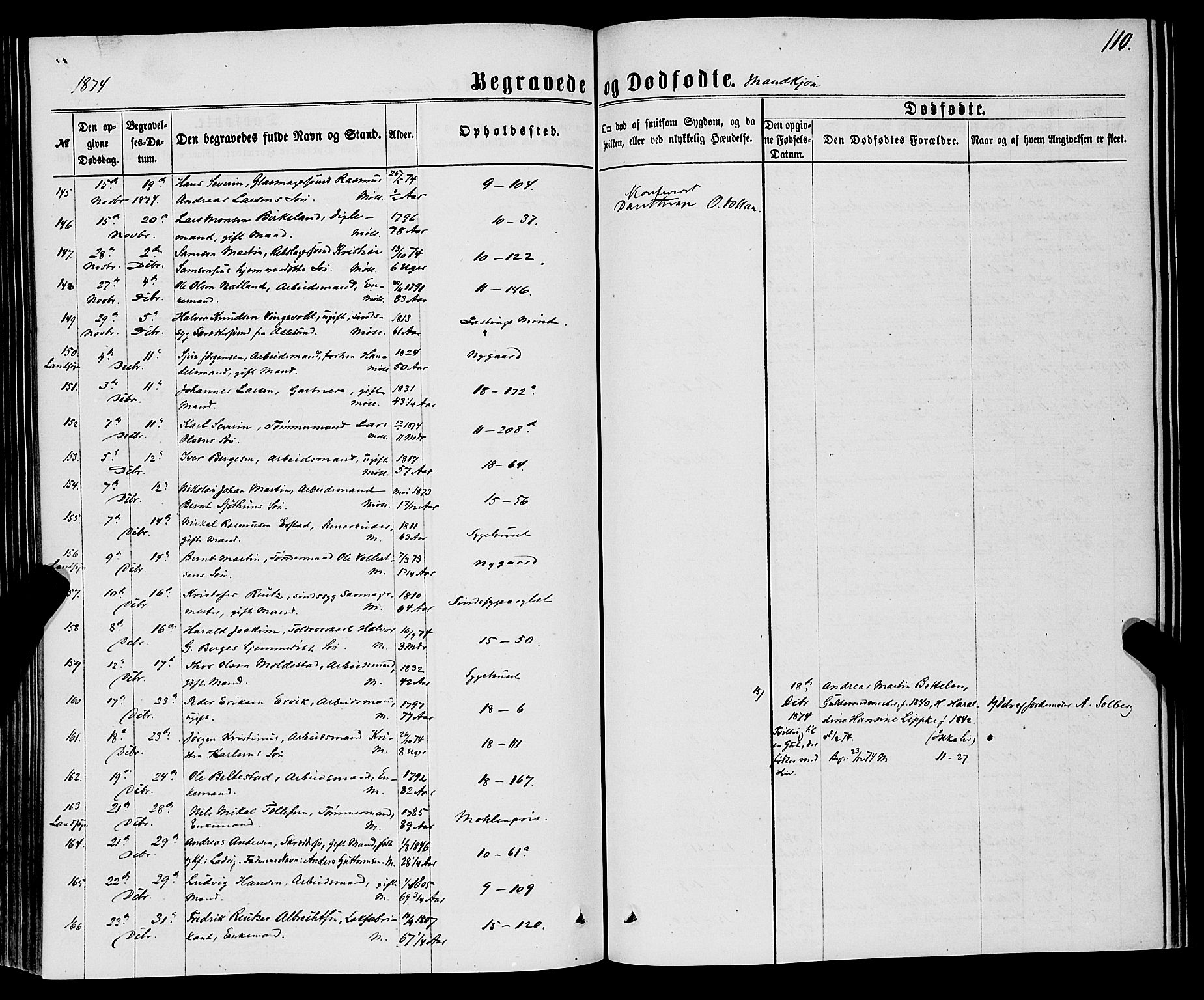 Domkirken sokneprestembete, AV/SAB-A-74801/H/Haa/L0042: Parish register (official) no. E 3, 1863-1876, p. 110