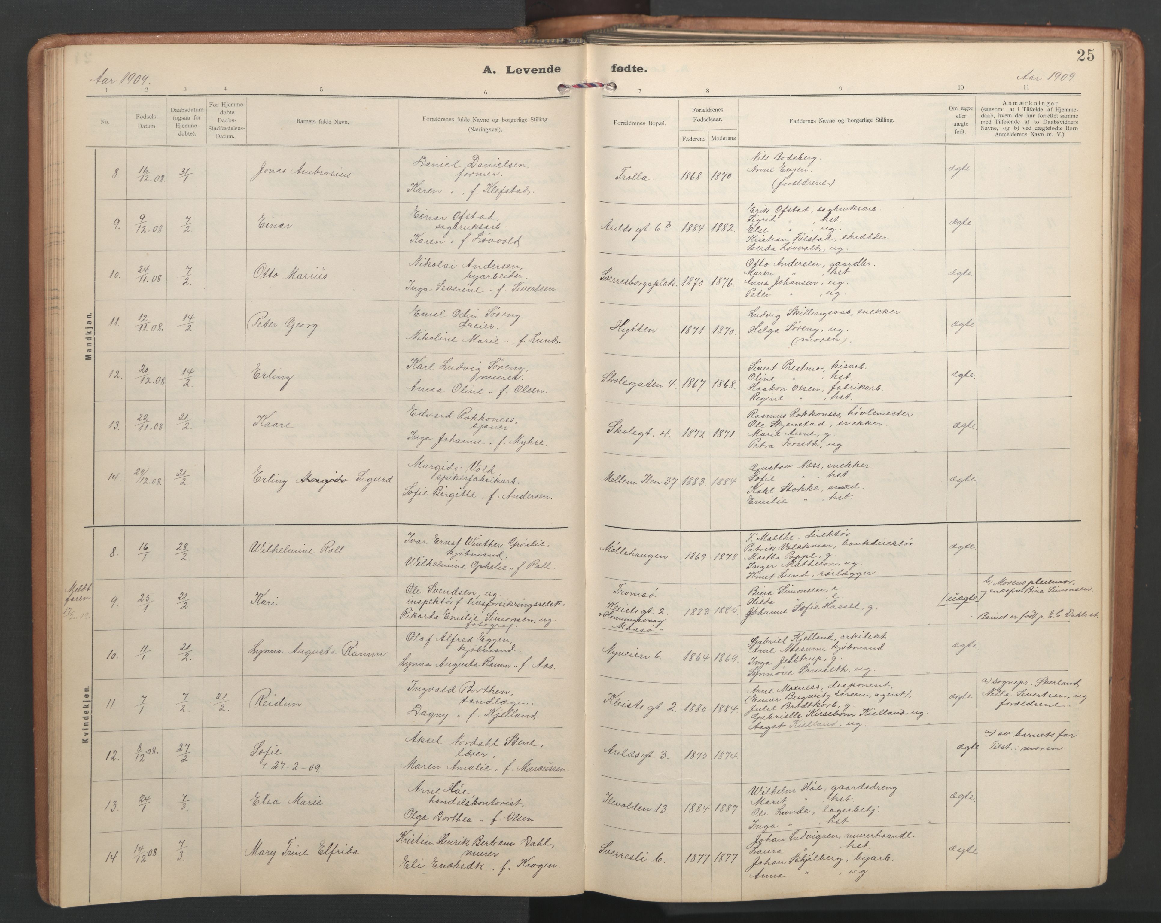 Ministerialprotokoller, klokkerbøker og fødselsregistre - Sør-Trøndelag, SAT/A-1456/603/L0173: Parish register (copy) no. 603C01, 1907-1962, p. 25
