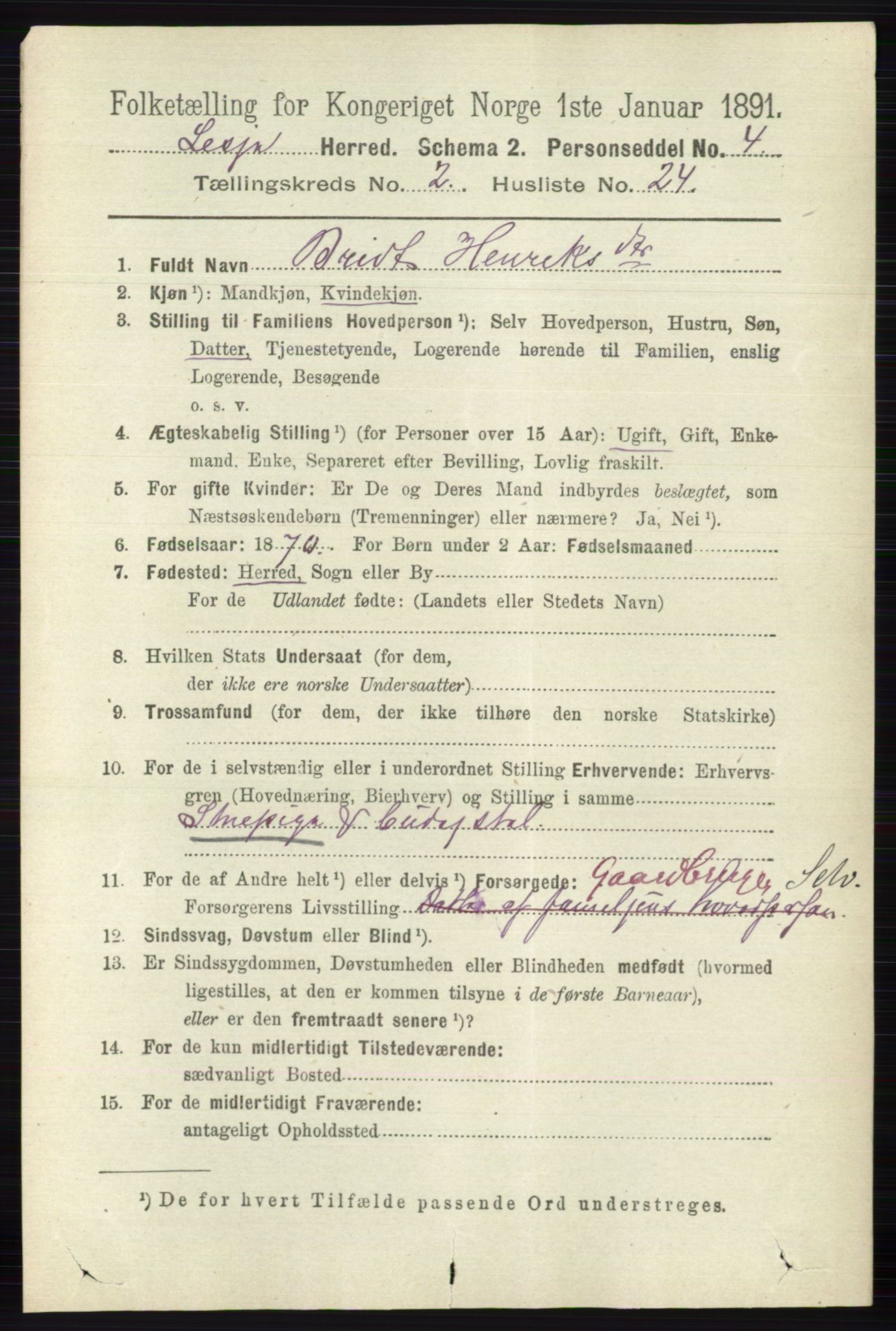 RA, 1891 census for 0512 Lesja, 1891, p. 564