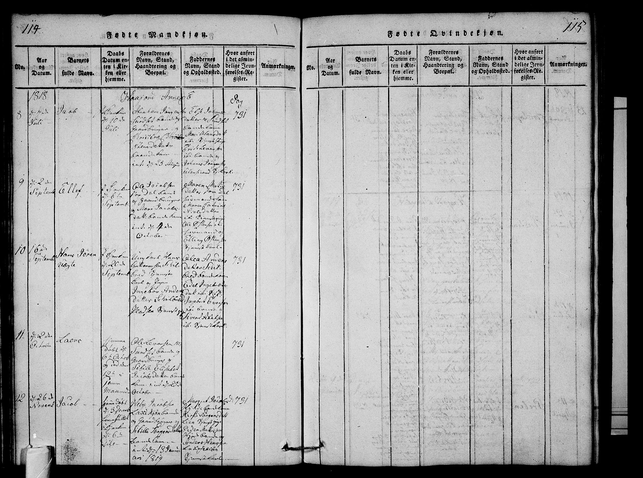 Andebu kirkebøker, AV/SAKO-A-336/G/Ga/L0001: Parish register (copy) no. I 1 /2, 1815-1823, p. 114-115