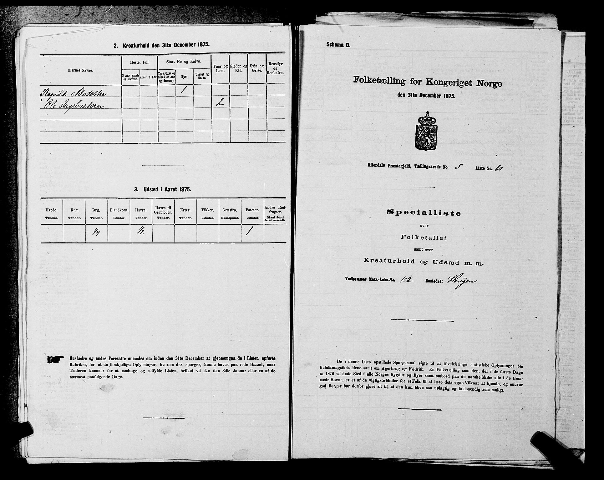 SAKO, 1875 census for 0823P Heddal, 1875, p. 820