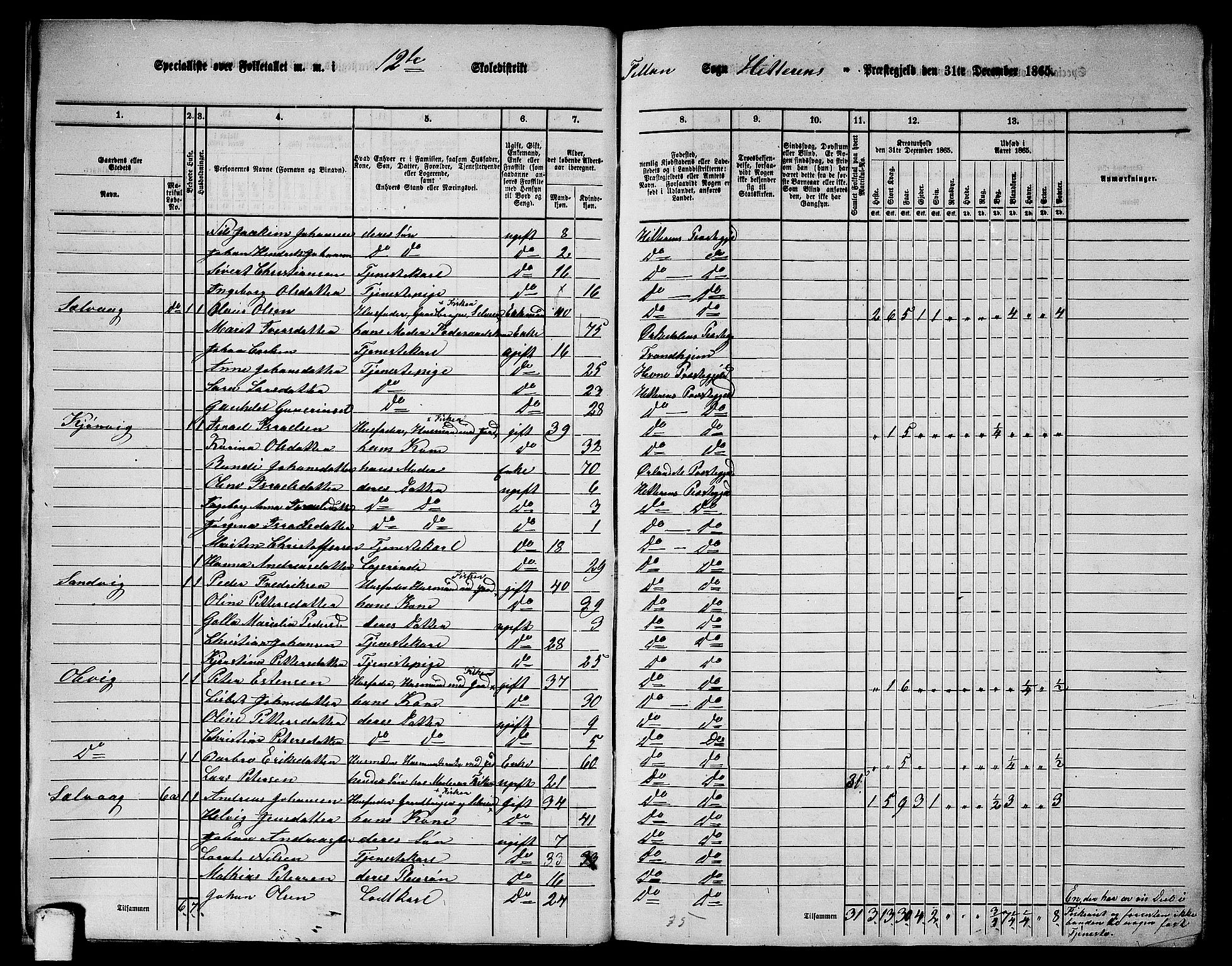 RA, 1865 census for Hitra, 1865, p. 15