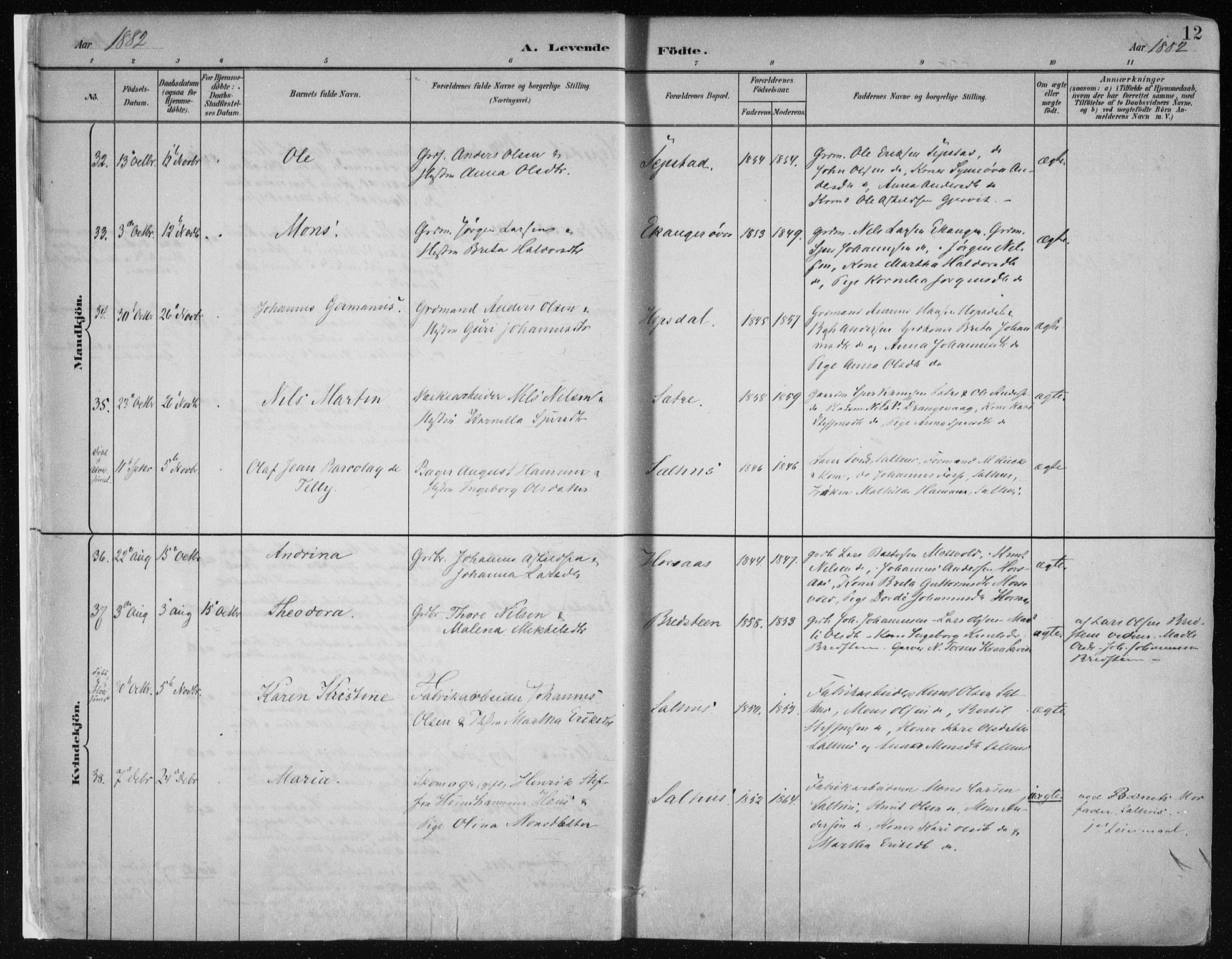 Hamre sokneprestembete, SAB/A-75501/H/Ha/Haa/Haab/L0001: Parish register (official) no. B  1, 1882-1905, p. 12