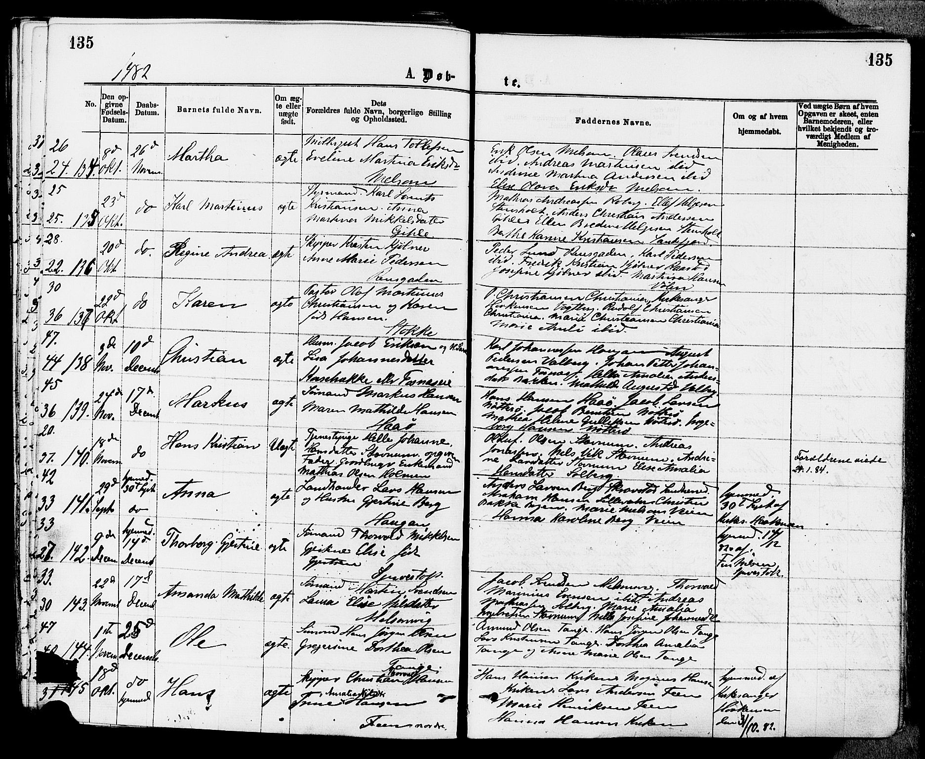 Stokke kirkebøker, AV/SAKO-A-320/F/Fa/L0009: Parish register (official) no. I 9, 1872-1883, p. 135