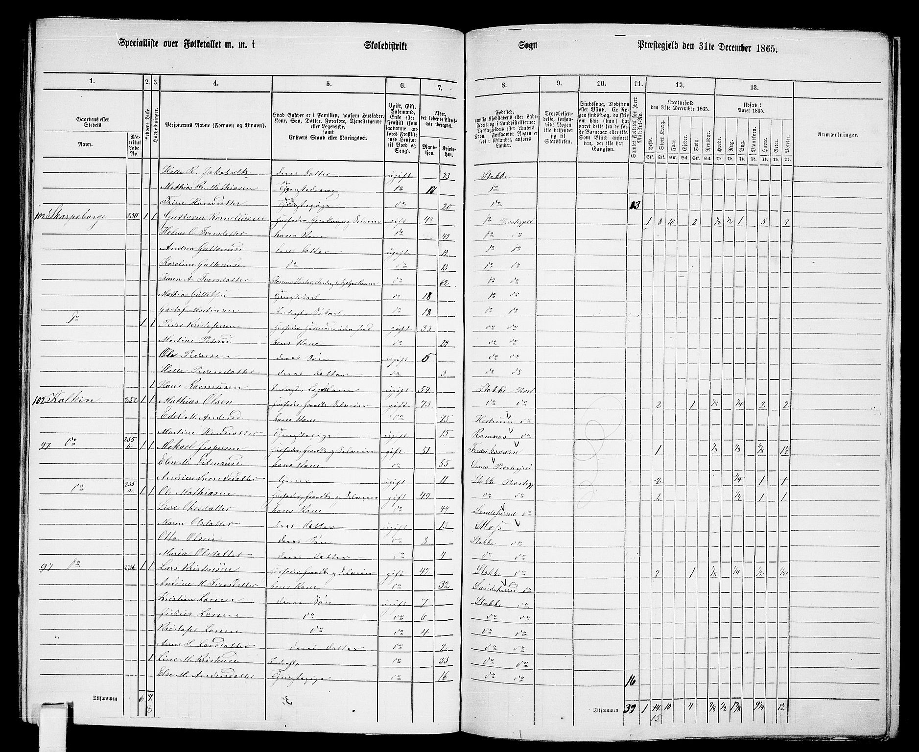 RA, 1865 census for Stokke, 1865, p. 133