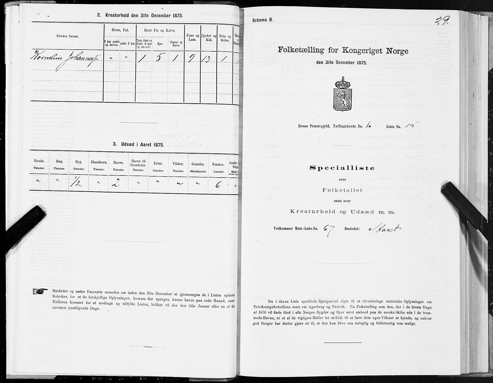 SAT, 1875 census for 1814P Brønnøy, 1875, p. 1029