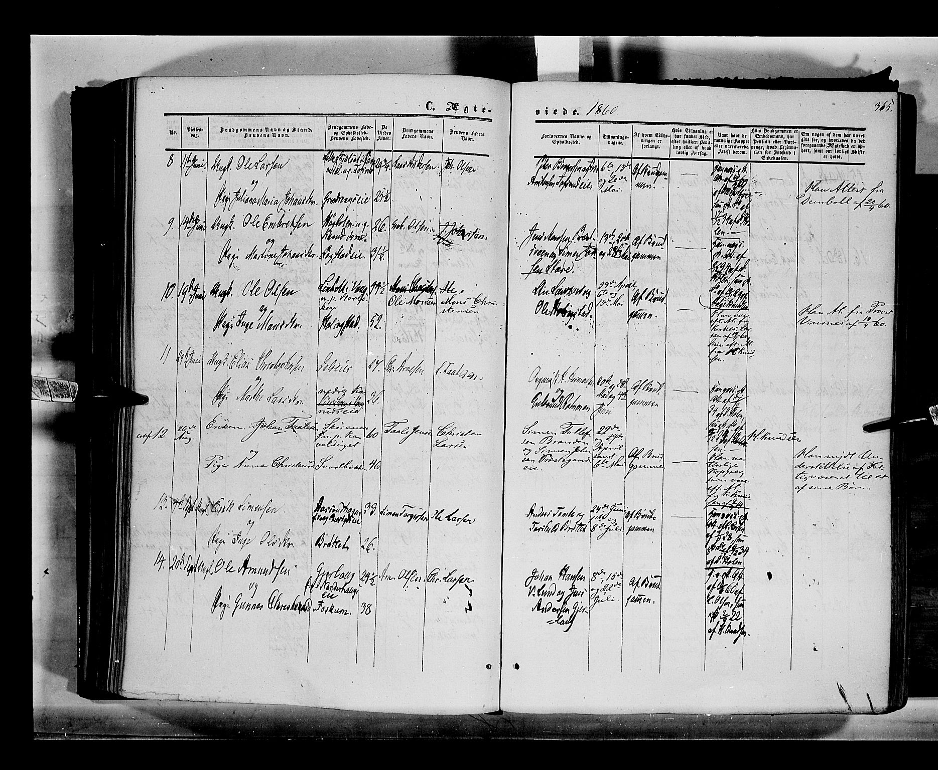 Løten prestekontor, SAH/PREST-022/K/Ka/L0008: Parish register (official) no. 8, 1860-1877, p. 365