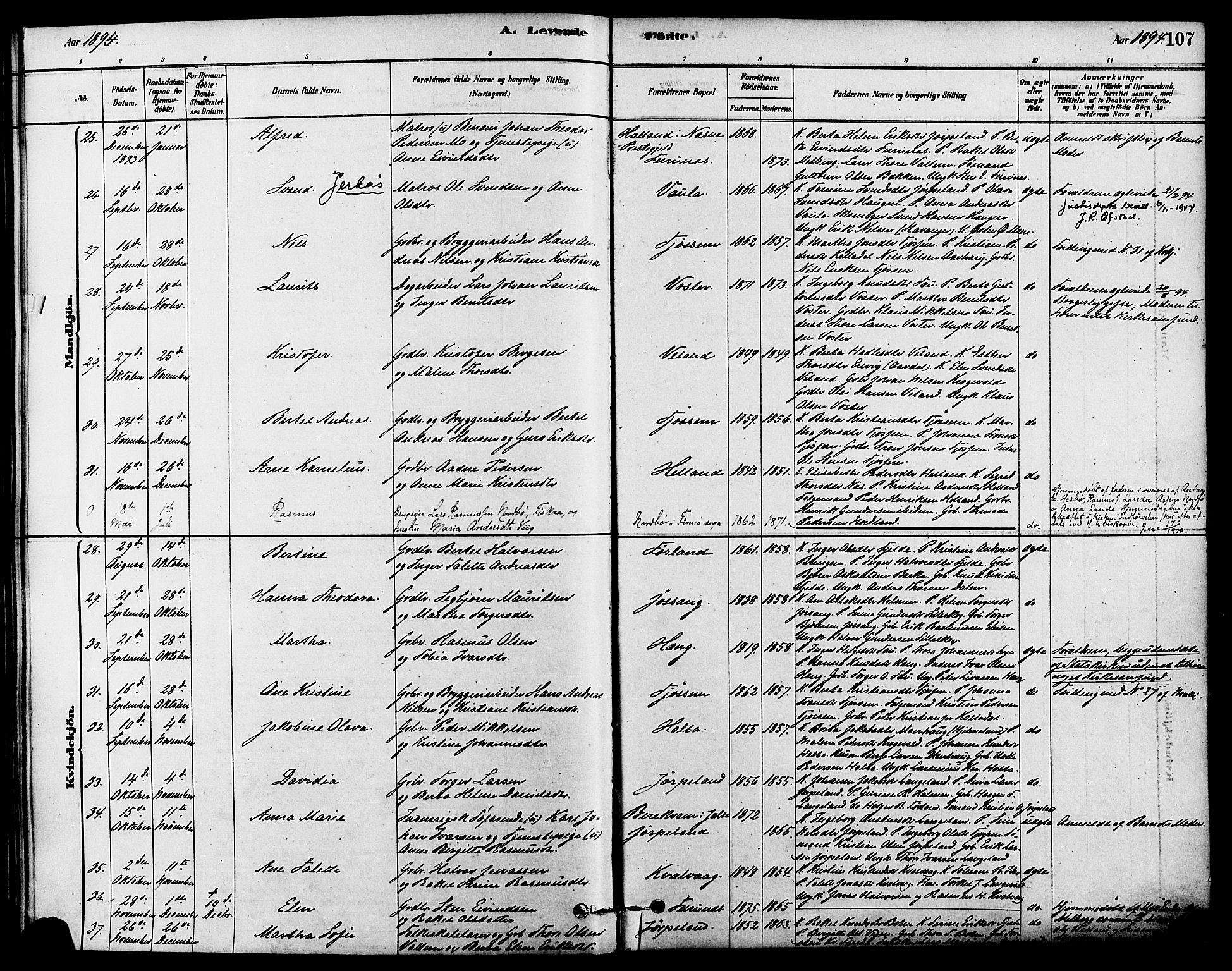 Strand sokneprestkontor, SAST/A-101828/H/Ha/Haa/L0009: Parish register (official) no. A 9, 1877-1908, p. 107