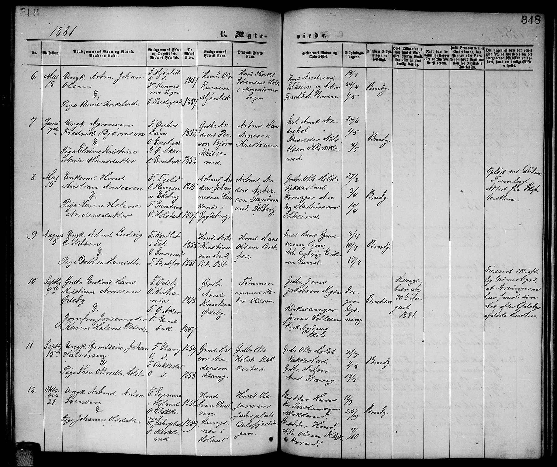 Enebakk prestekontor Kirkebøker, SAO/A-10171c/G/Ga/L0005: Parish register (copy) no. I 5, 1867-1888, p. 348
