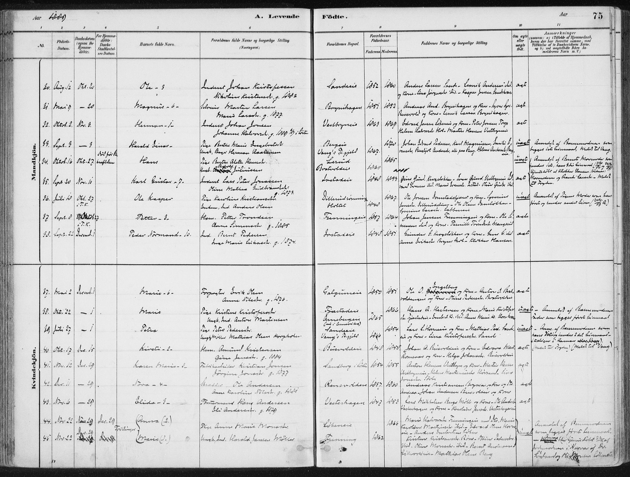 Romedal prestekontor, SAH/PREST-004/K/L0010: Parish register (official) no. 10, 1880-1895, p. 75