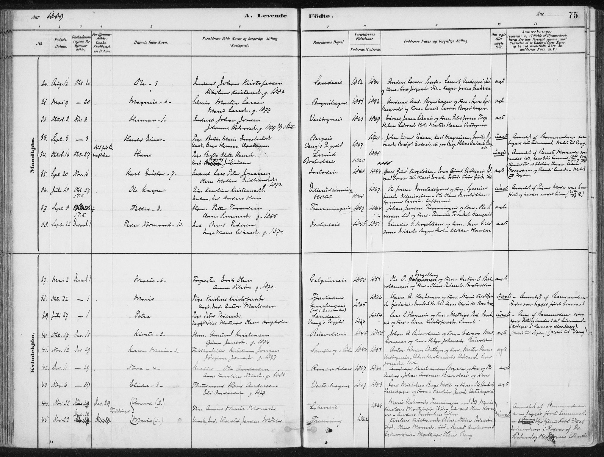 Romedal prestekontor, AV/SAH-PREST-004/K/L0010: Parish register (official) no. 10, 1880-1895, p. 75