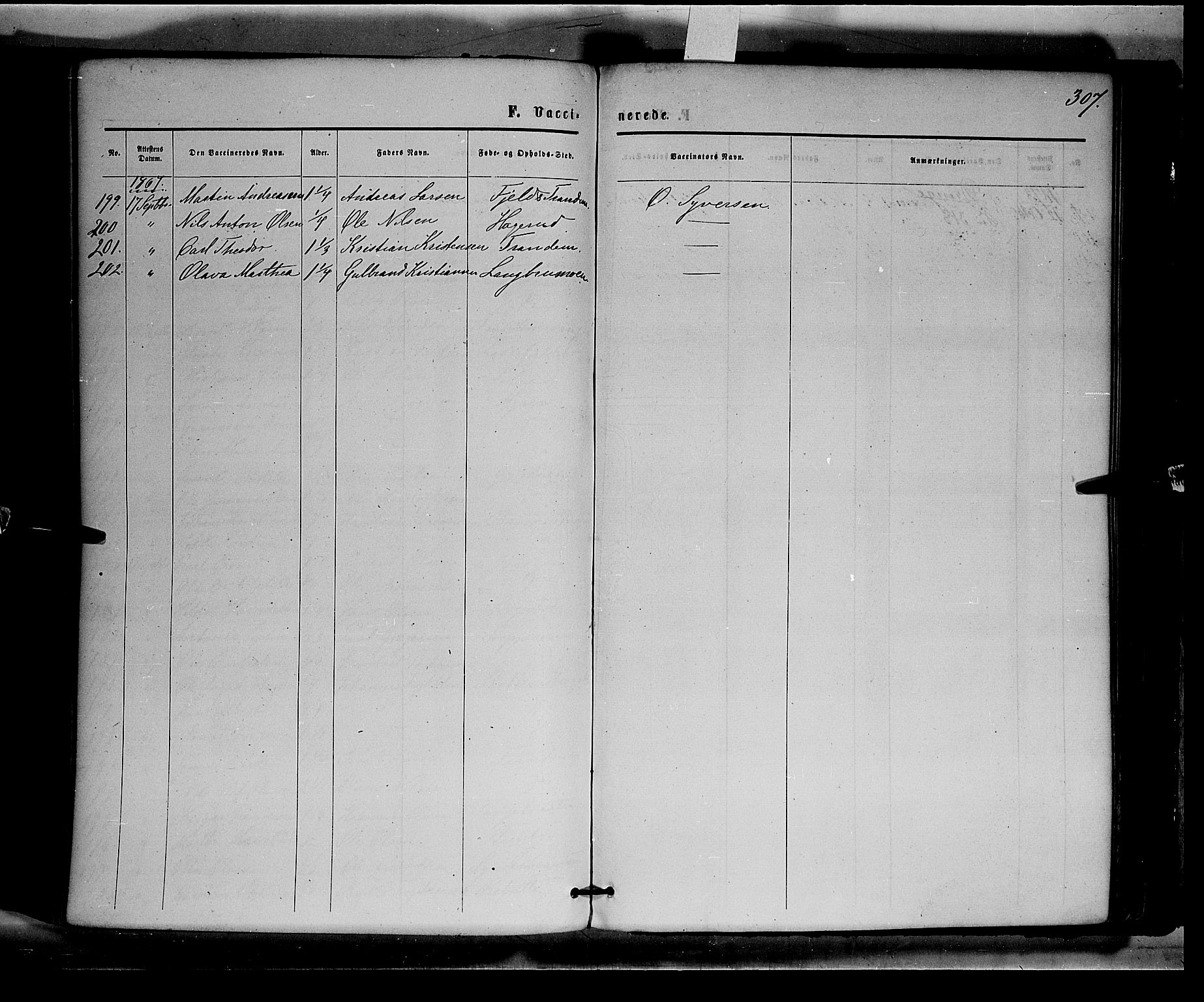 Eidskog prestekontor, AV/SAH-PREST-026/H/Ha/Haa/L0002: Parish register (official) no. 2, 1867-1878, p. 307