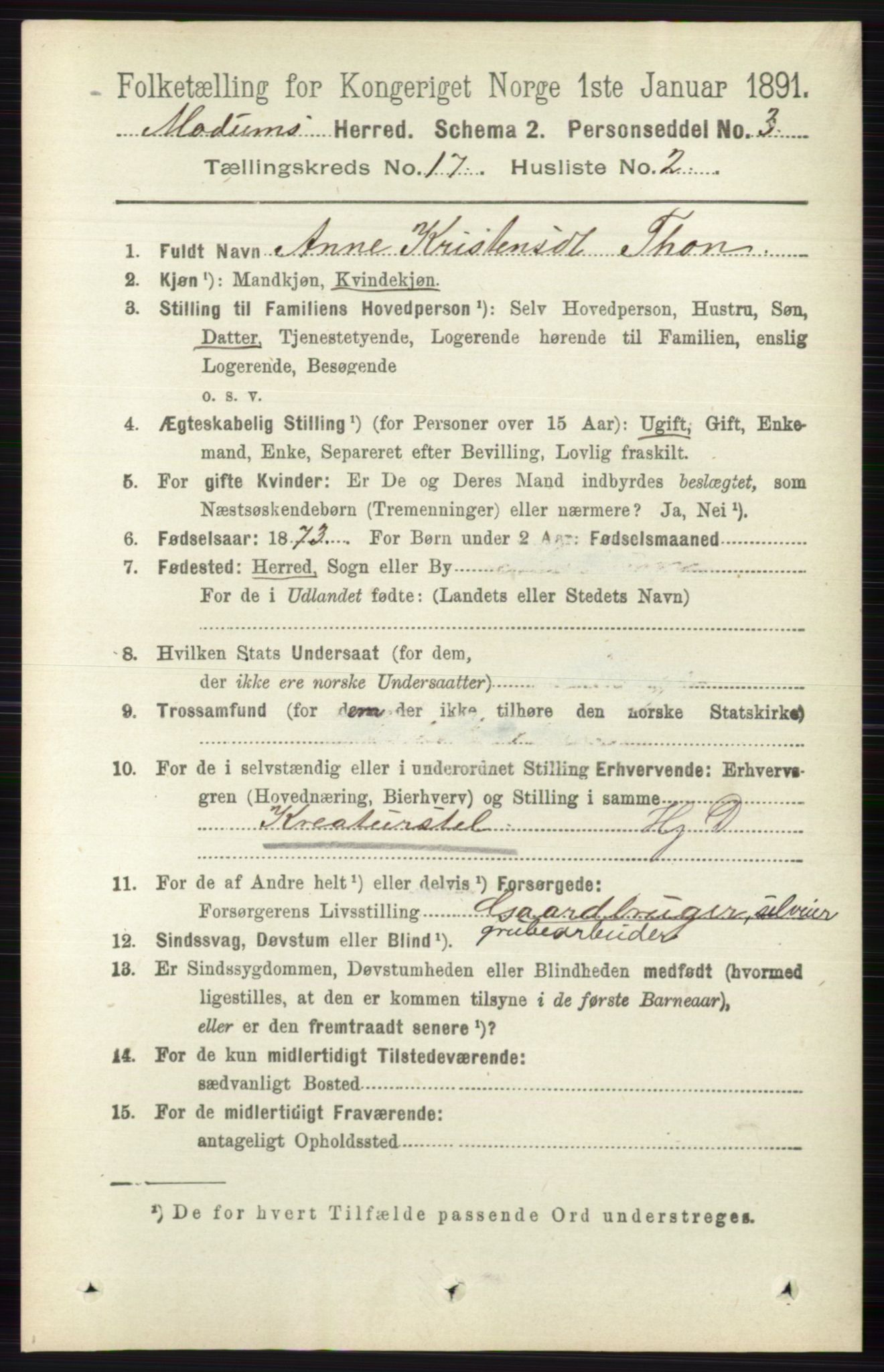 RA, 1891 census for 0623 Modum, 1891, p. 6642